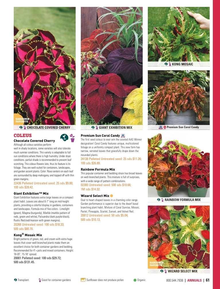 Harris Seeds flyer page 61