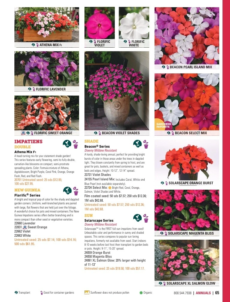 Harris Seeds flyer page 65