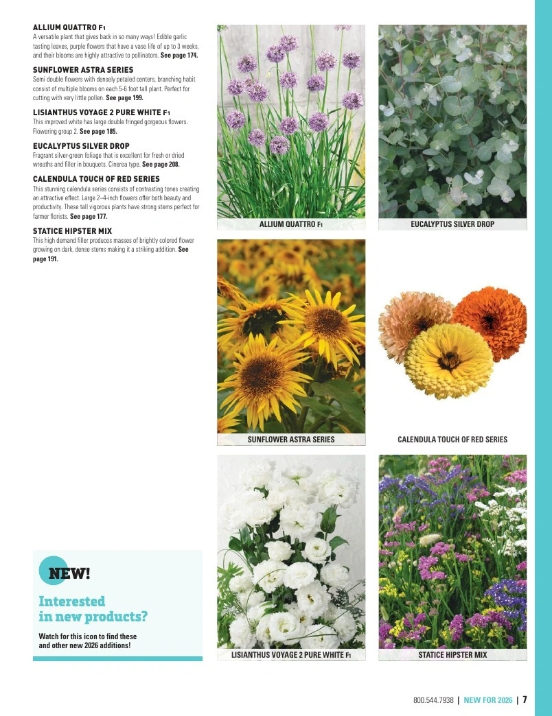 Harris Seeds flyer page 7