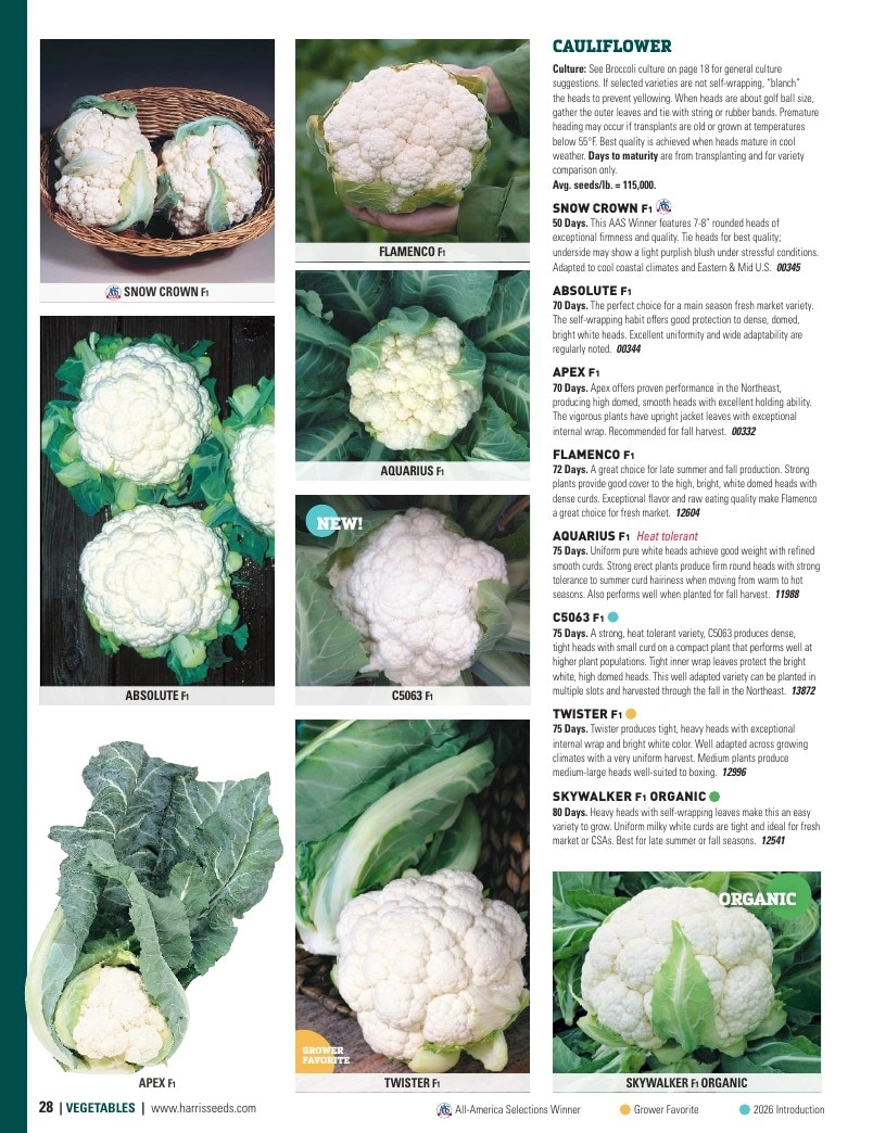 Harris Seeds flyer page 28
