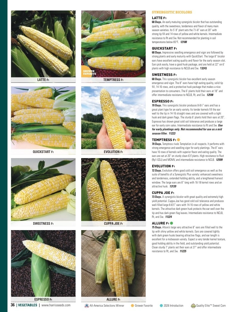 Harris Seeds flyer page 36