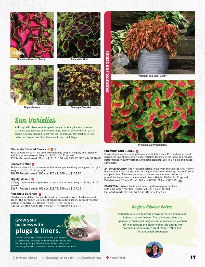 Harris Seeds flyer page 17
