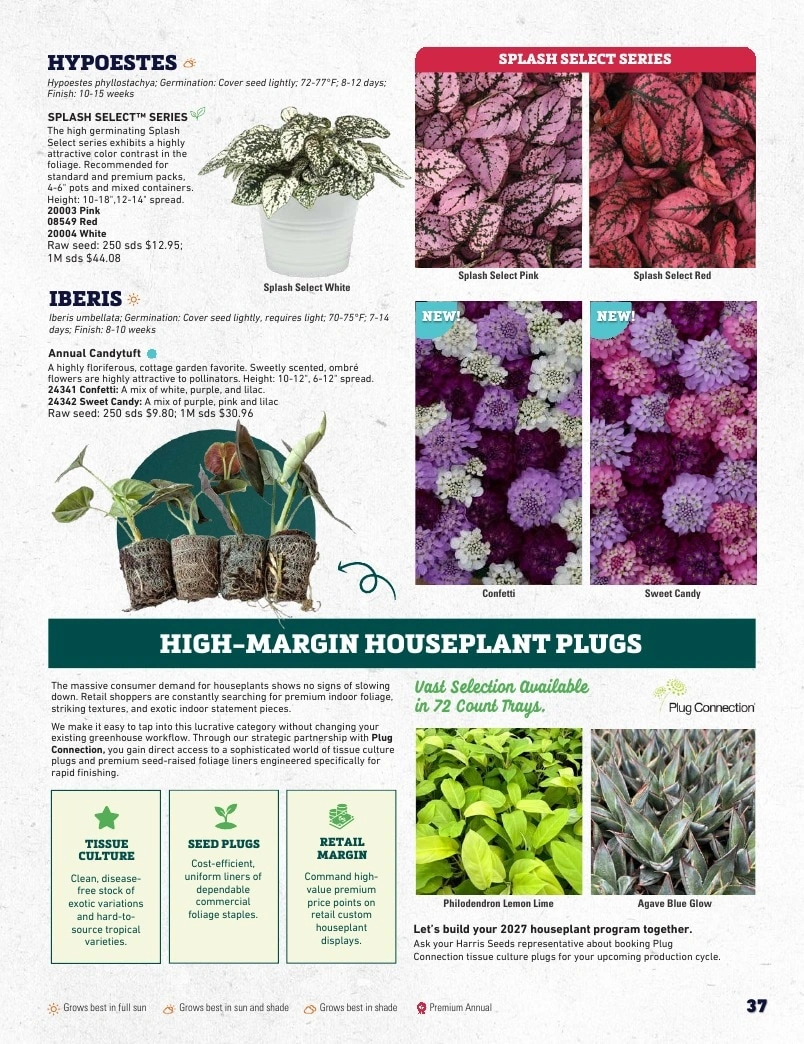 Harris Seeds flyer page 37