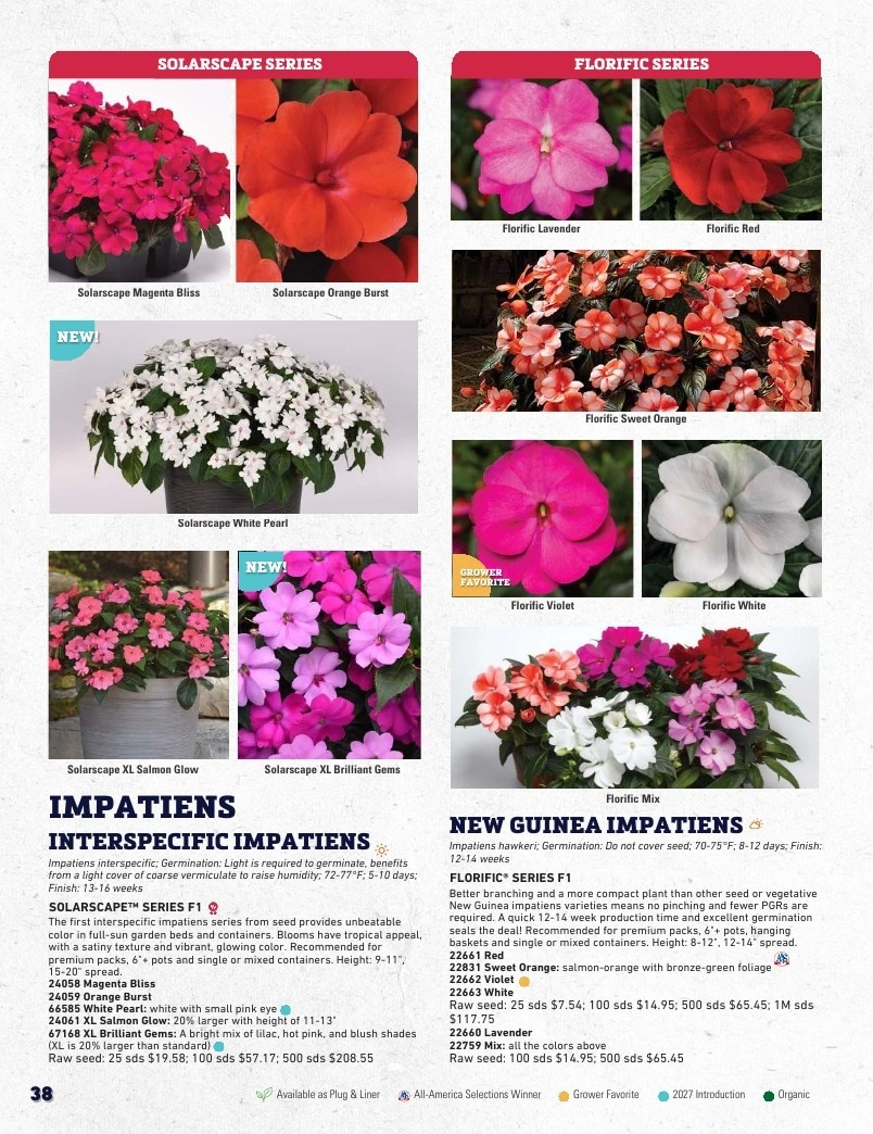 Harris Seeds flyer page 38