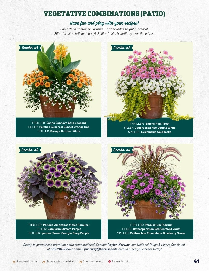 Harris Seeds flyer page 41
