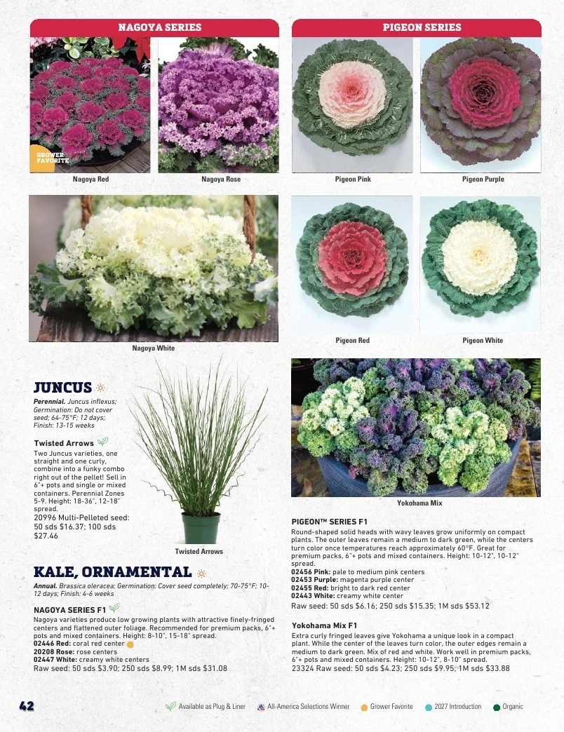 Harris Seeds flyer page 42
