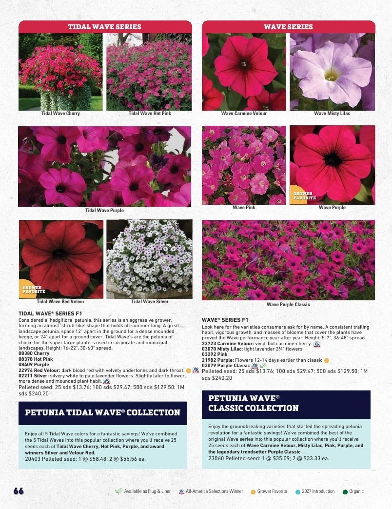 Harris Seeds flyer page 66