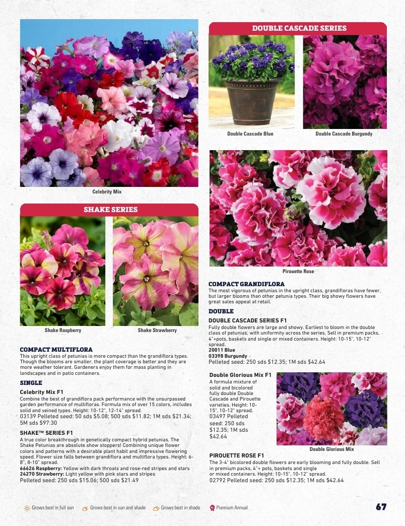 Harris Seeds flyer page 67