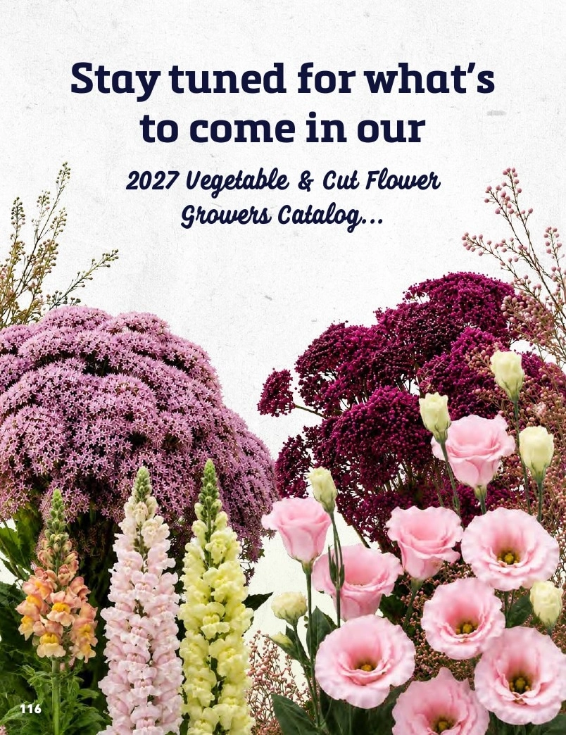 Harris Seeds flyer page 116