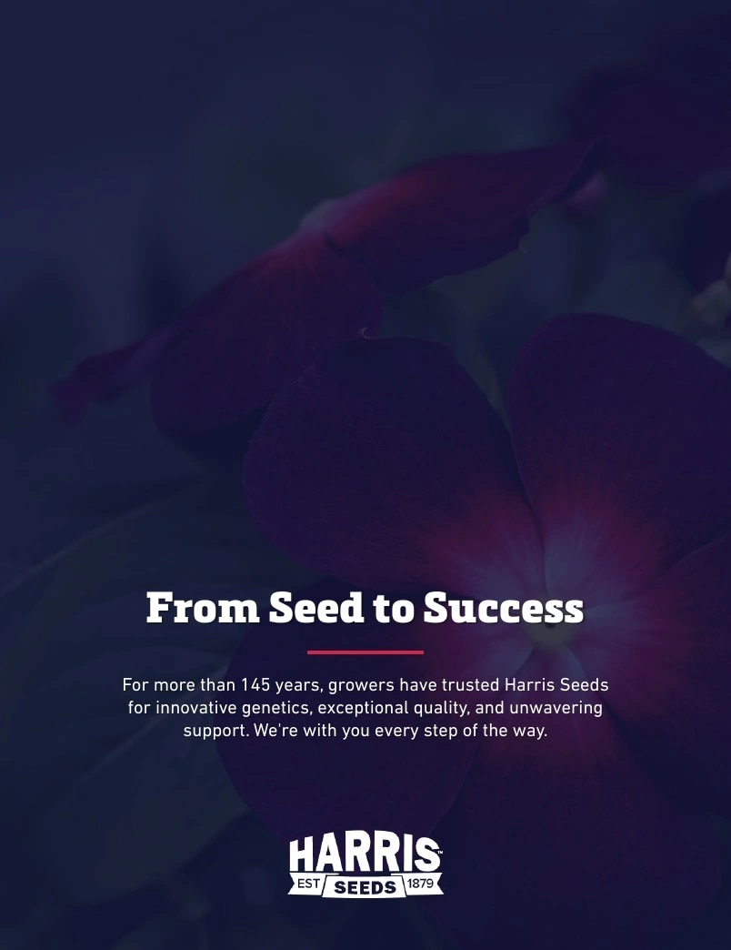Harris Seeds flyer page 118