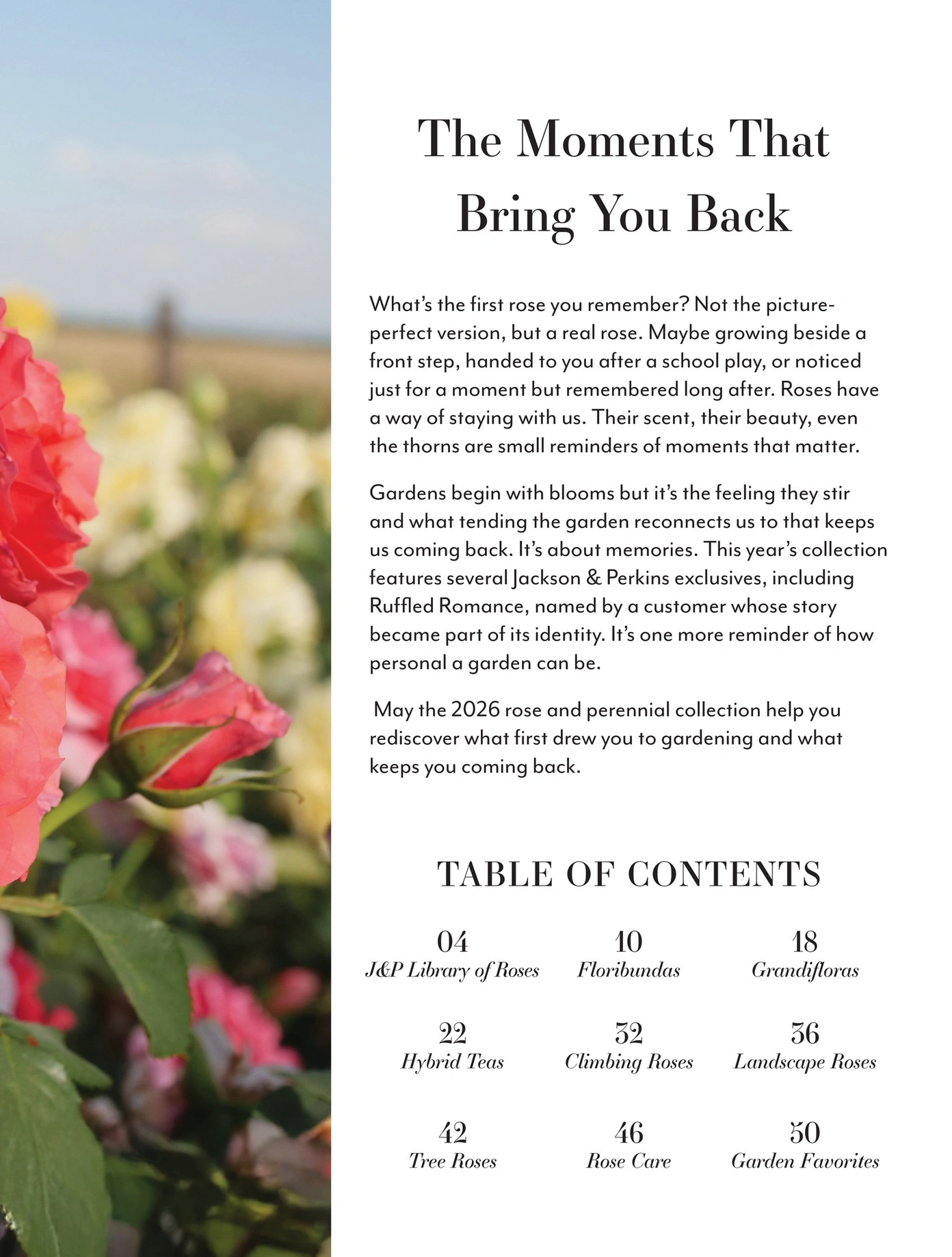 Jackson & Perkins flyer page 3