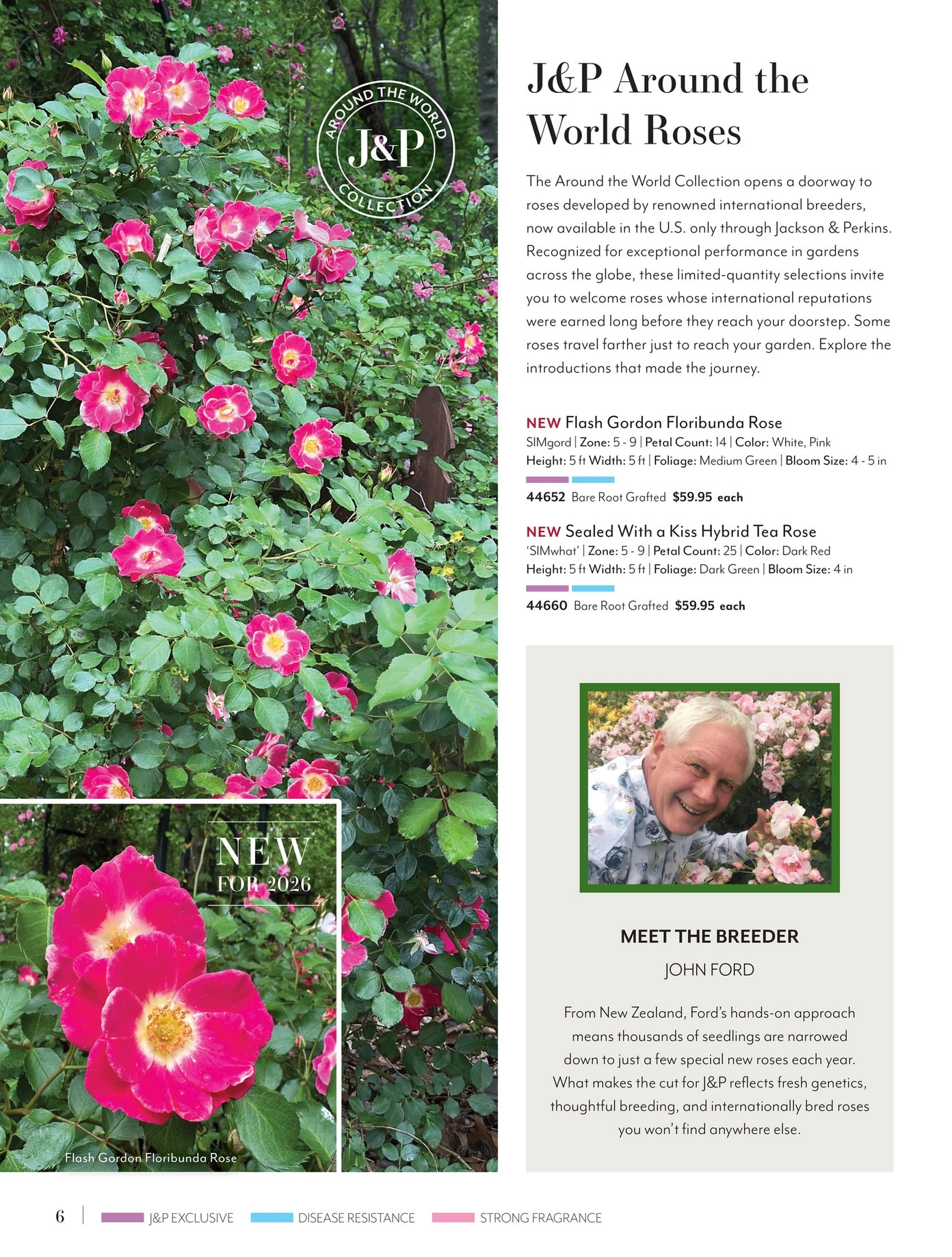 Jackson & Perkins flyer page 6