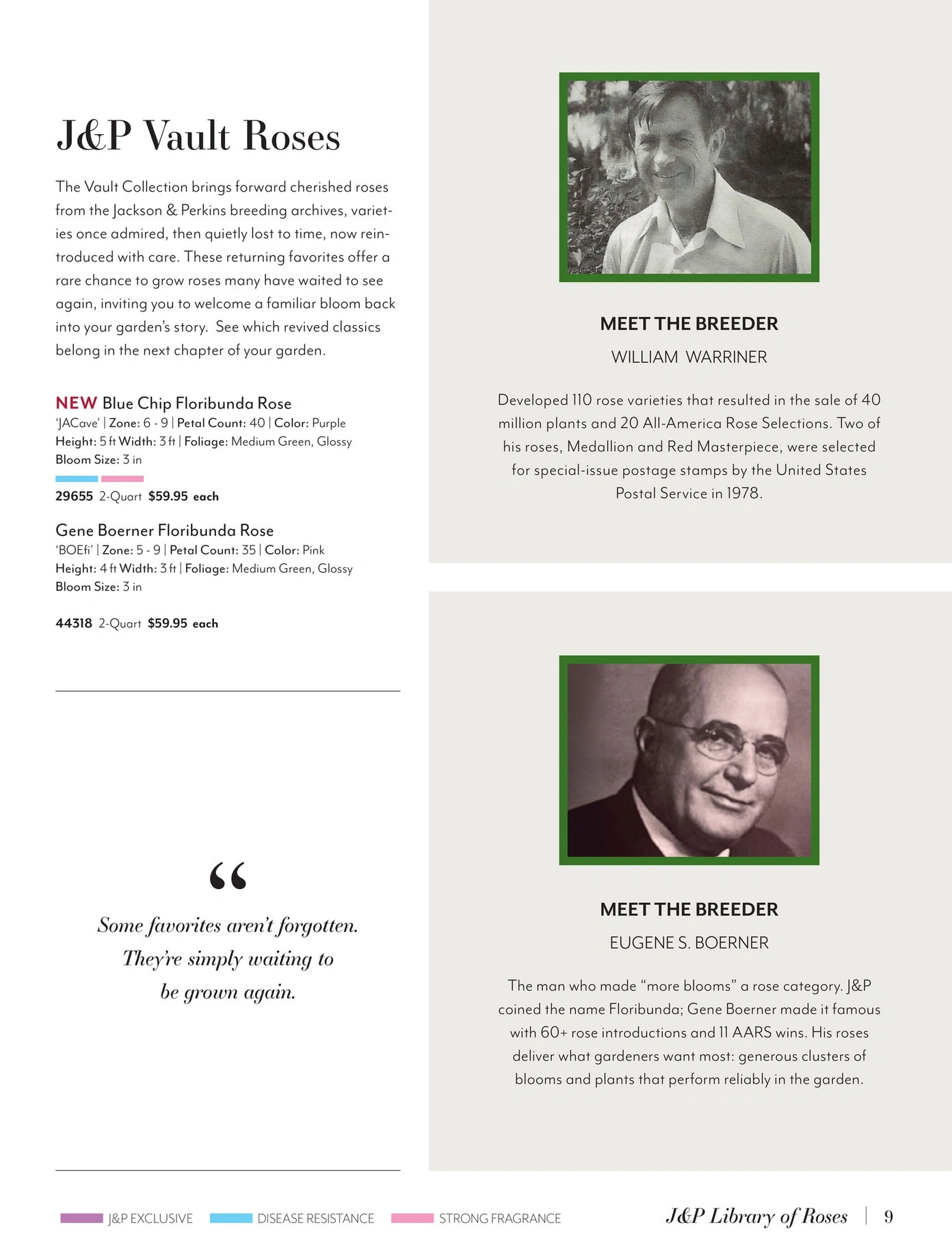 Jackson & Perkins flyer page 9