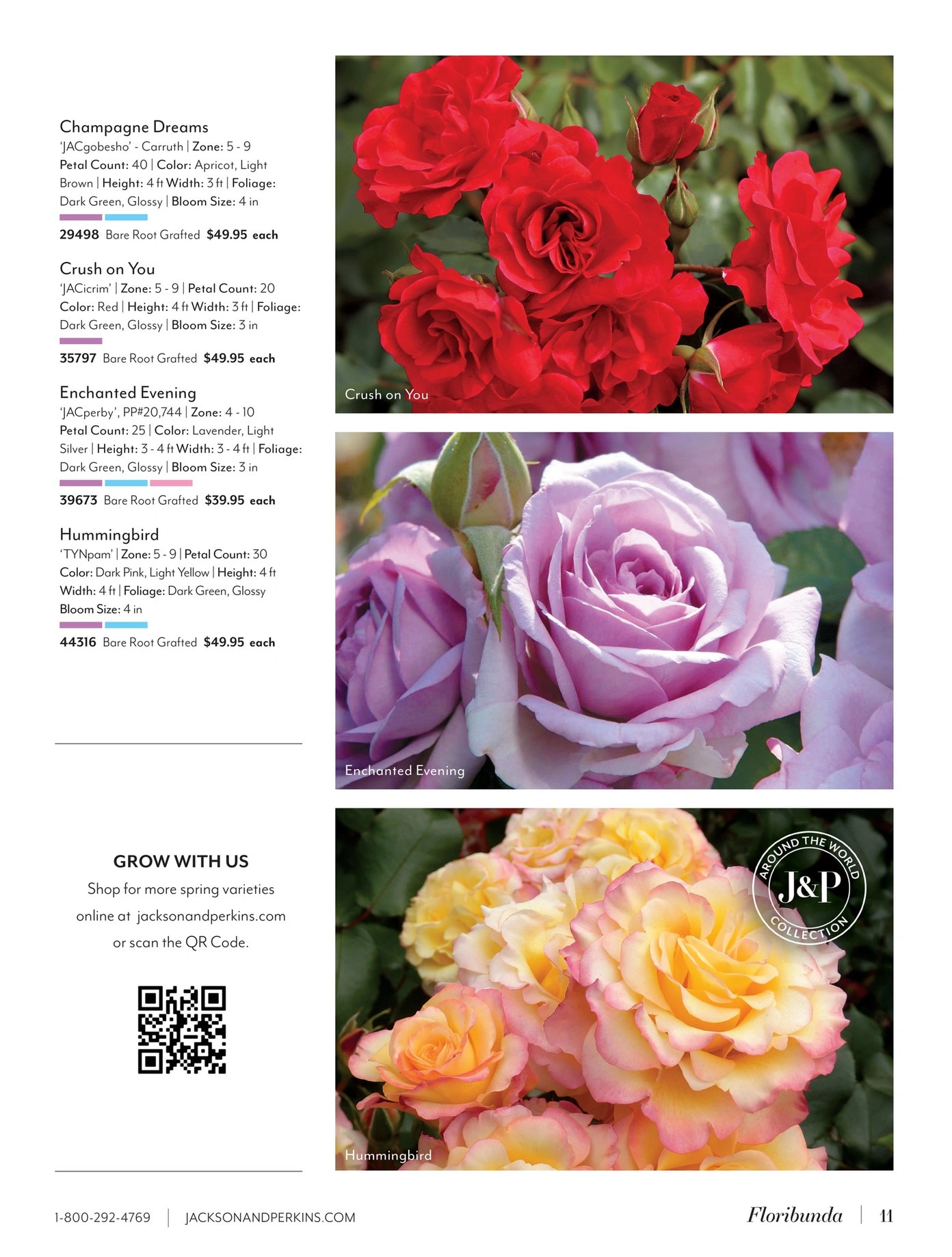 Jackson & Perkins flyer page 11
