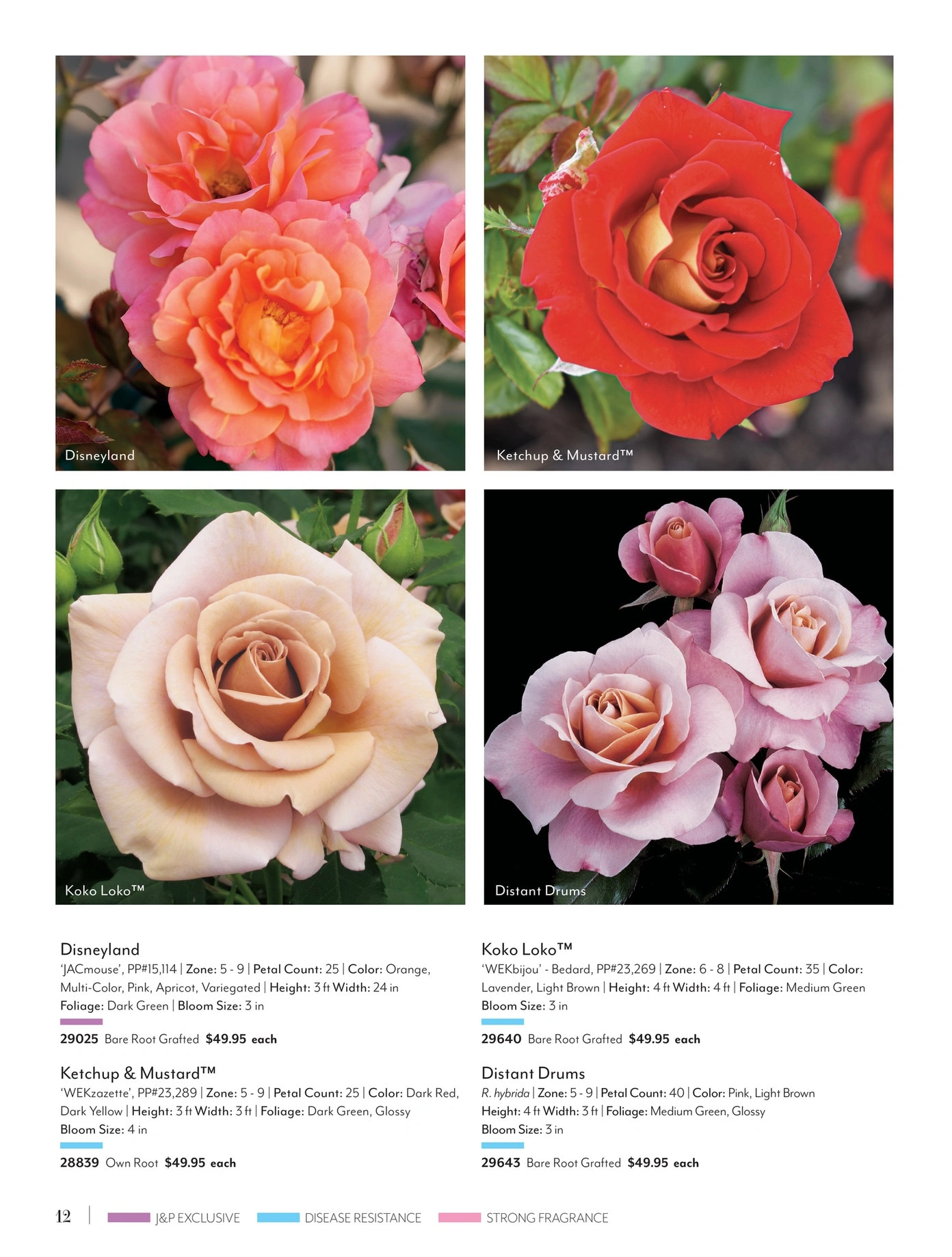 Jackson & Perkins flyer page 12