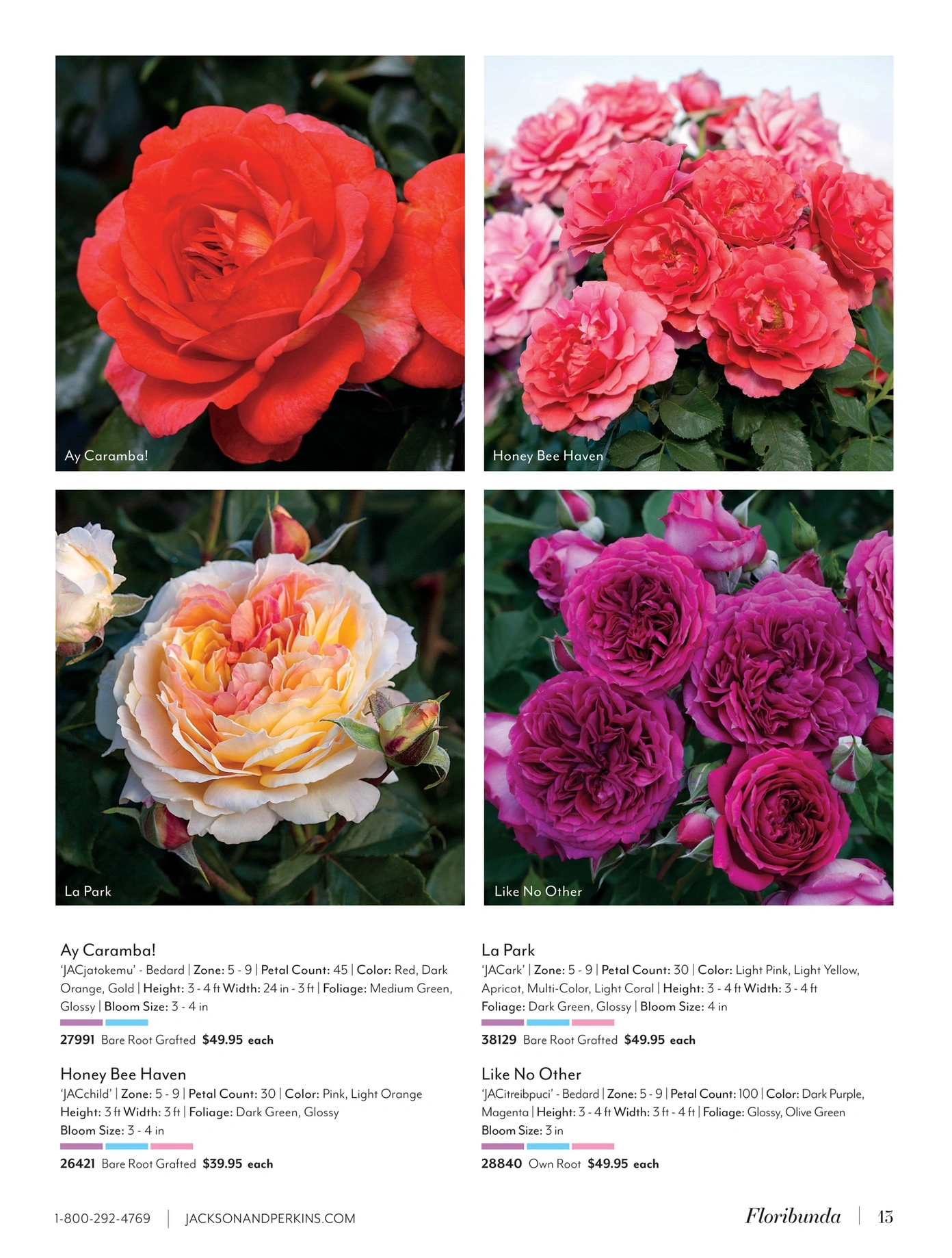 Jackson & Perkins flyer page 13