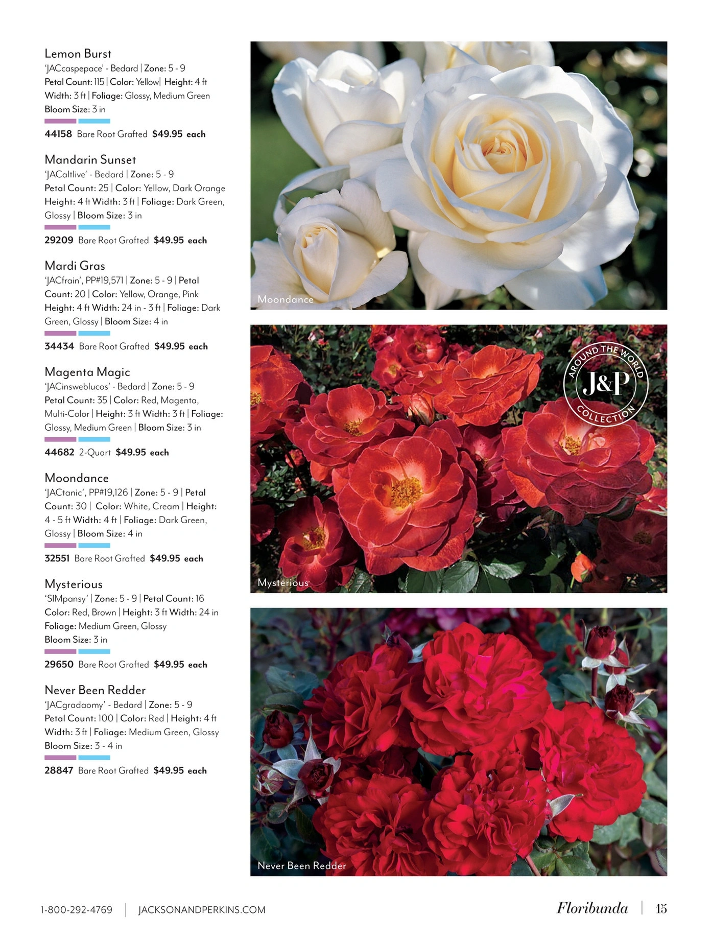 Jackson & Perkins flyer page 15