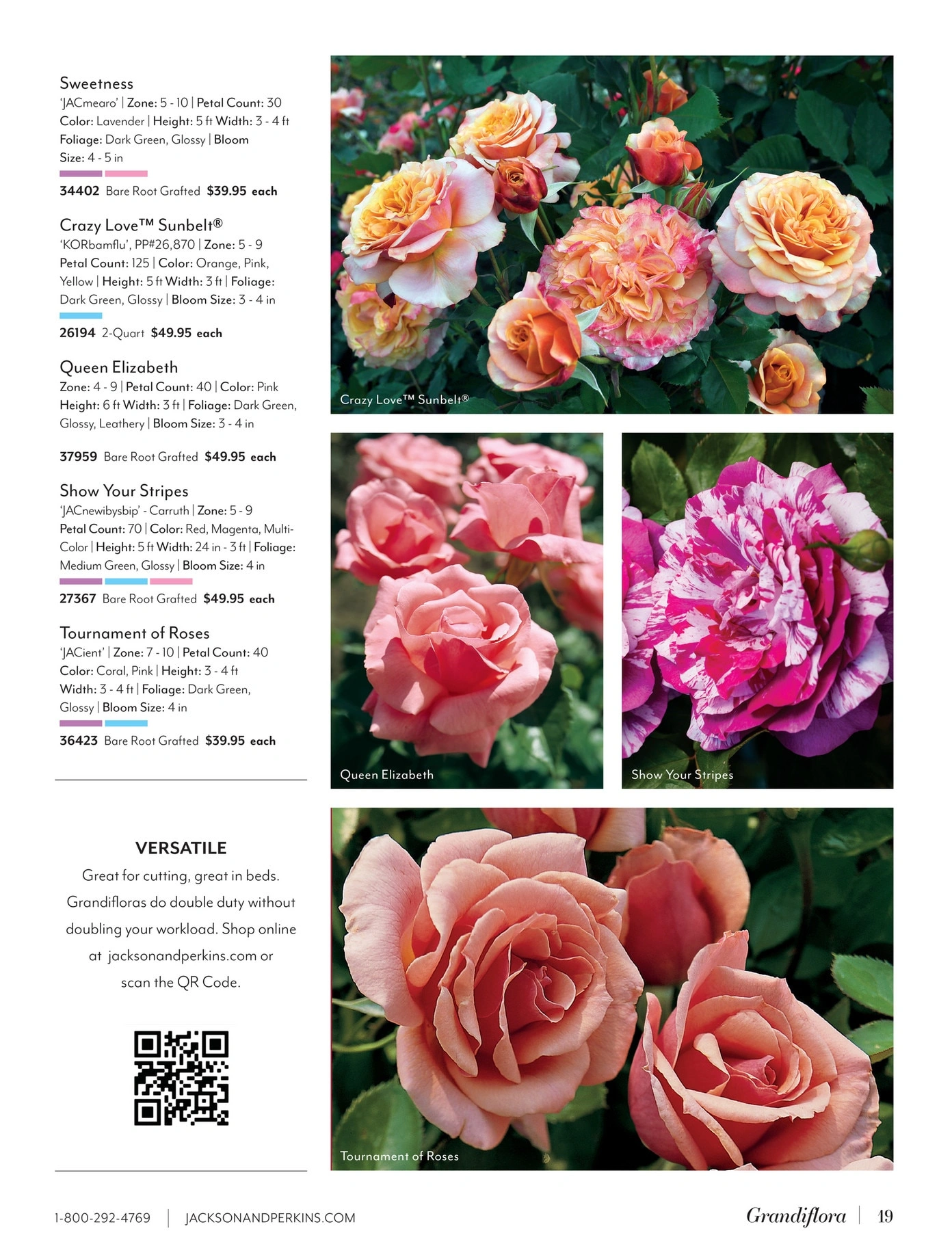 Jackson & Perkins flyer page 19