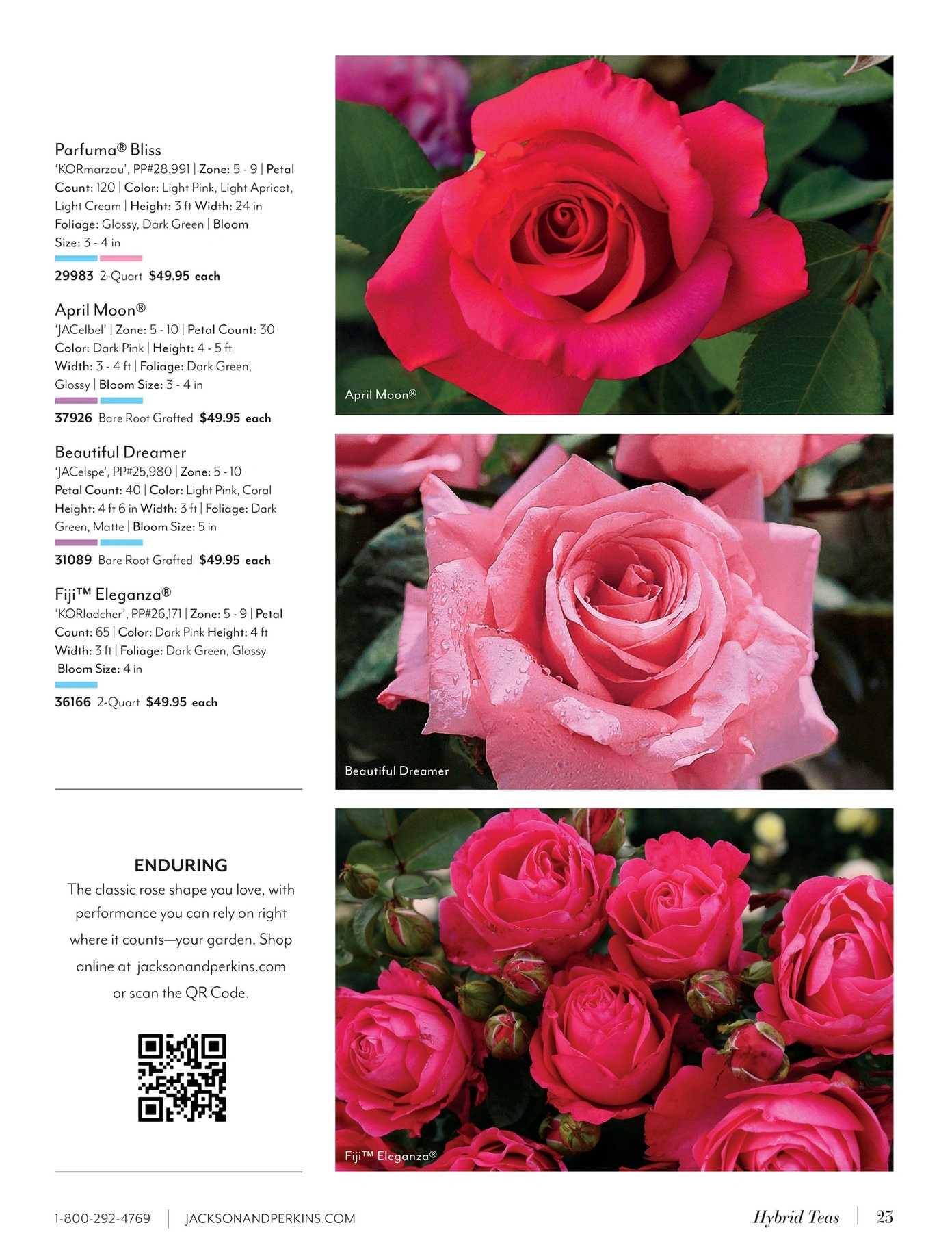 Jackson & Perkins flyer page 23