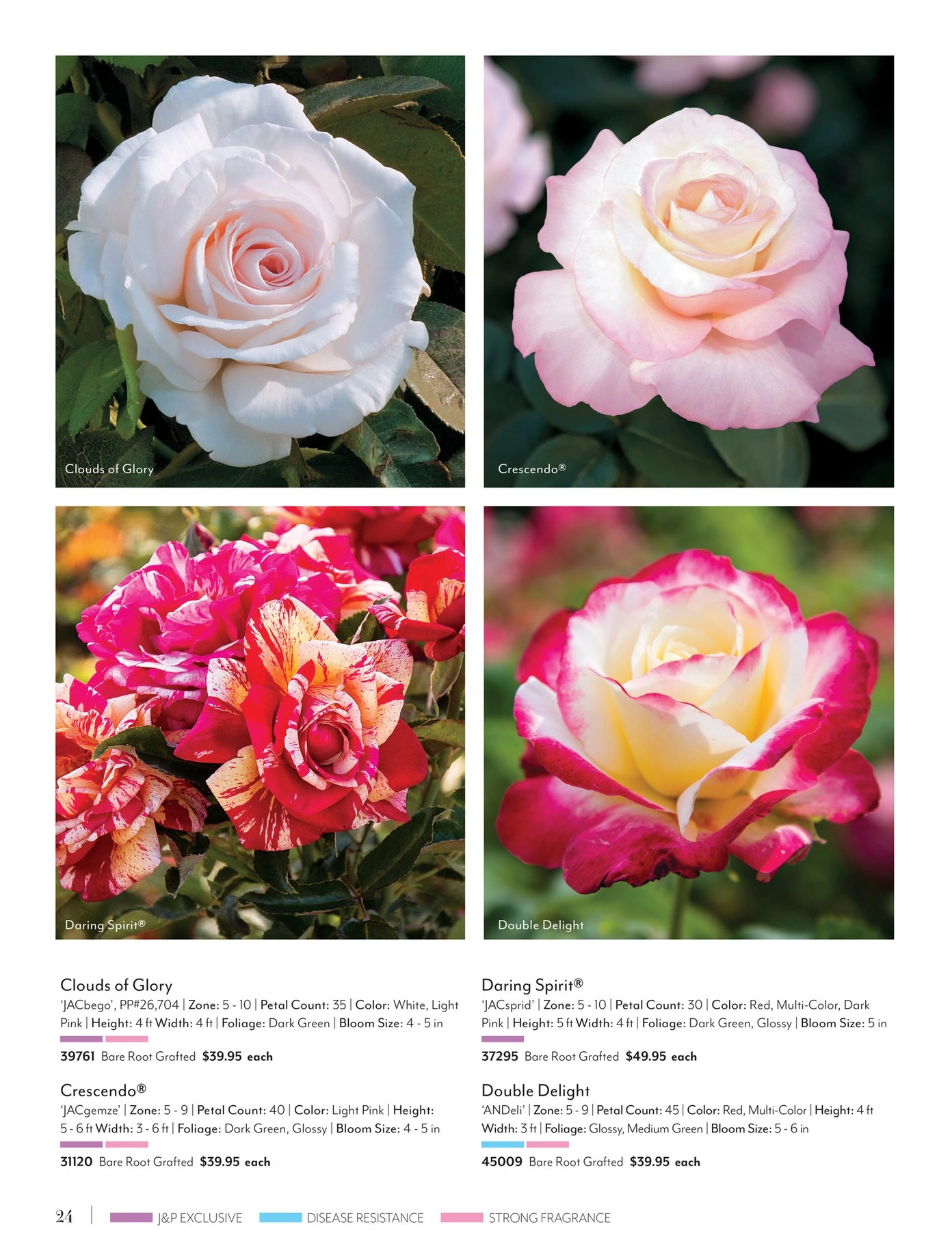 Jackson & Perkins flyer page 24