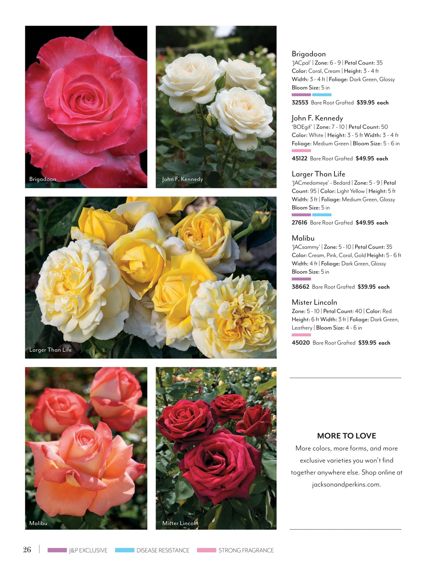 Jackson & Perkins flyer page 26