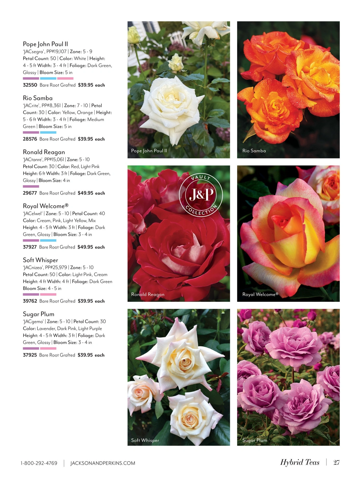 Jackson & Perkins flyer page 27
