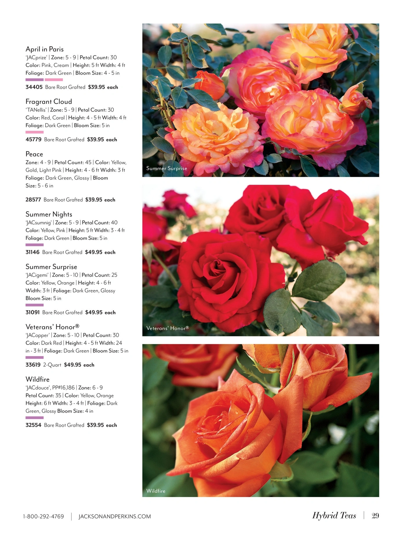 Jackson & Perkins flyer page 29