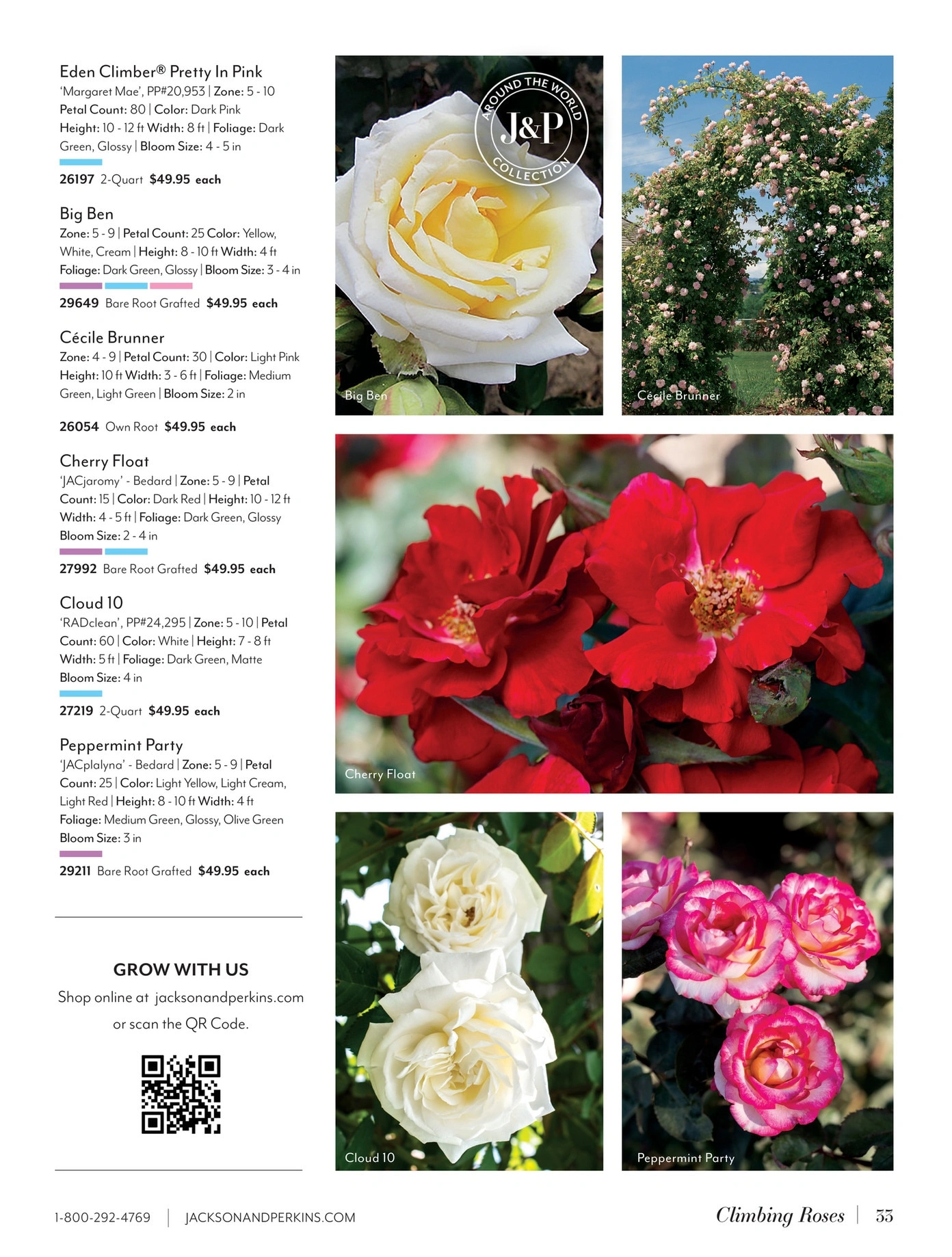 Jackson & Perkins flyer page 33