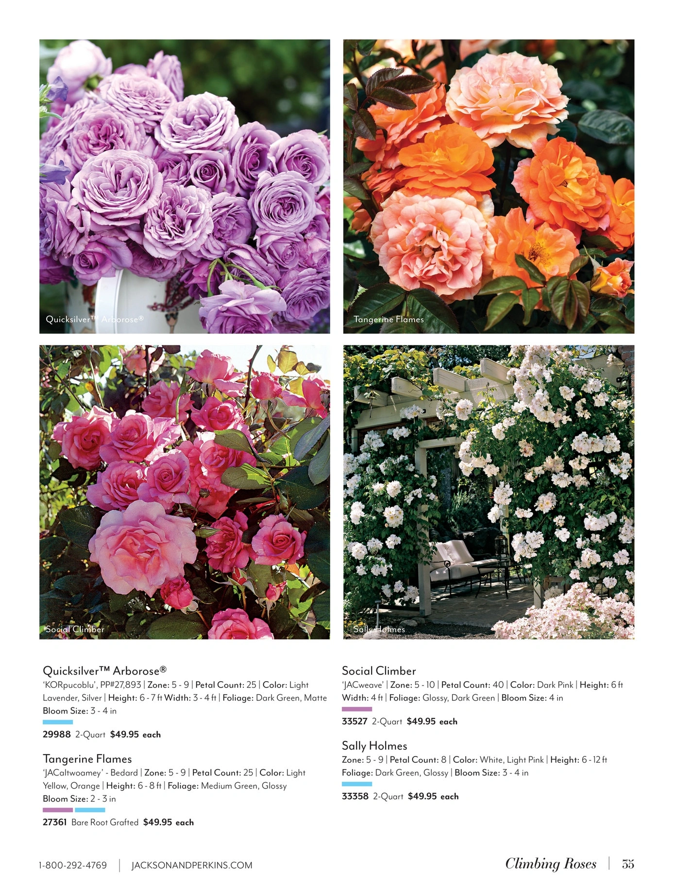 Jackson & Perkins flyer page 35