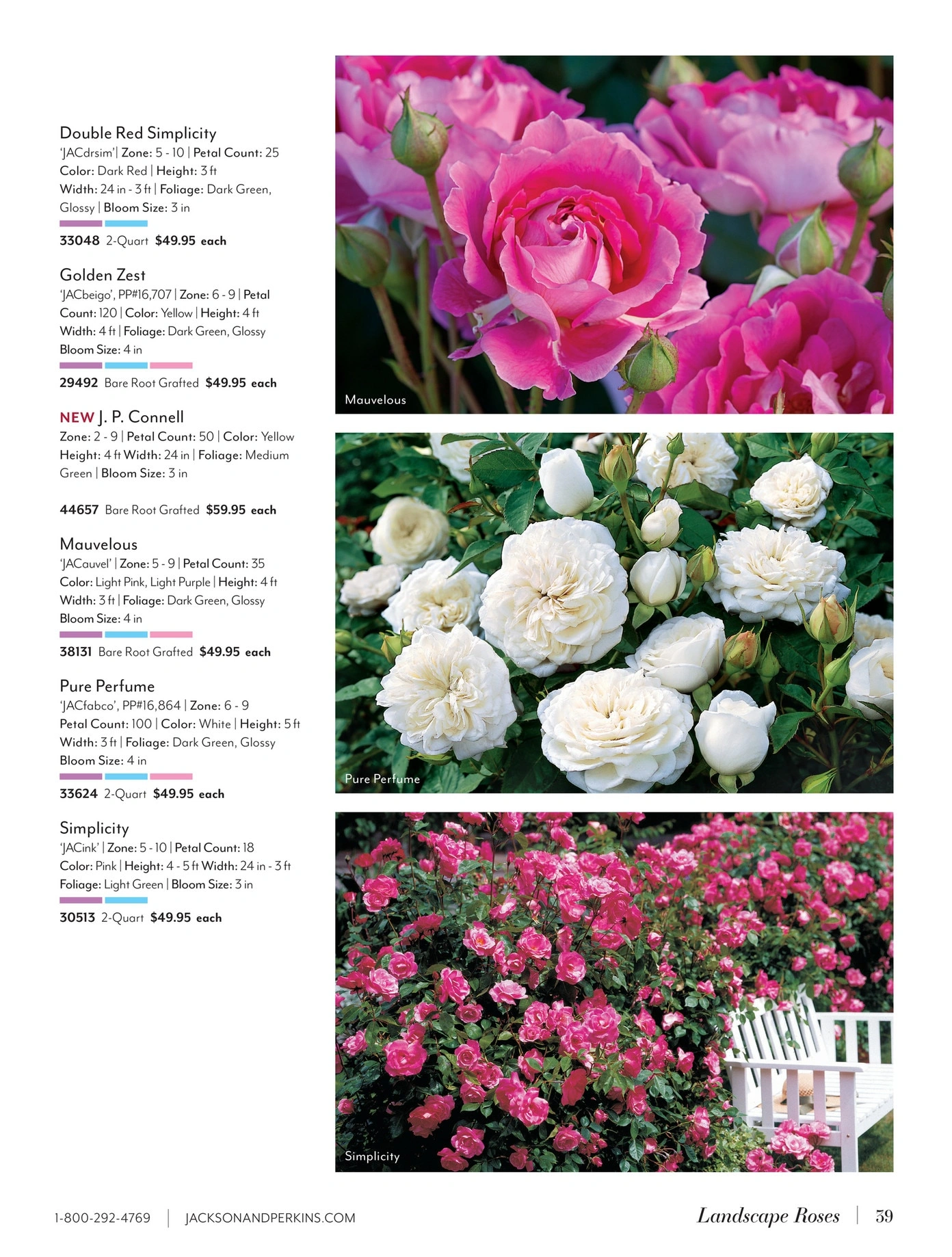 Jackson & Perkins flyer page 39