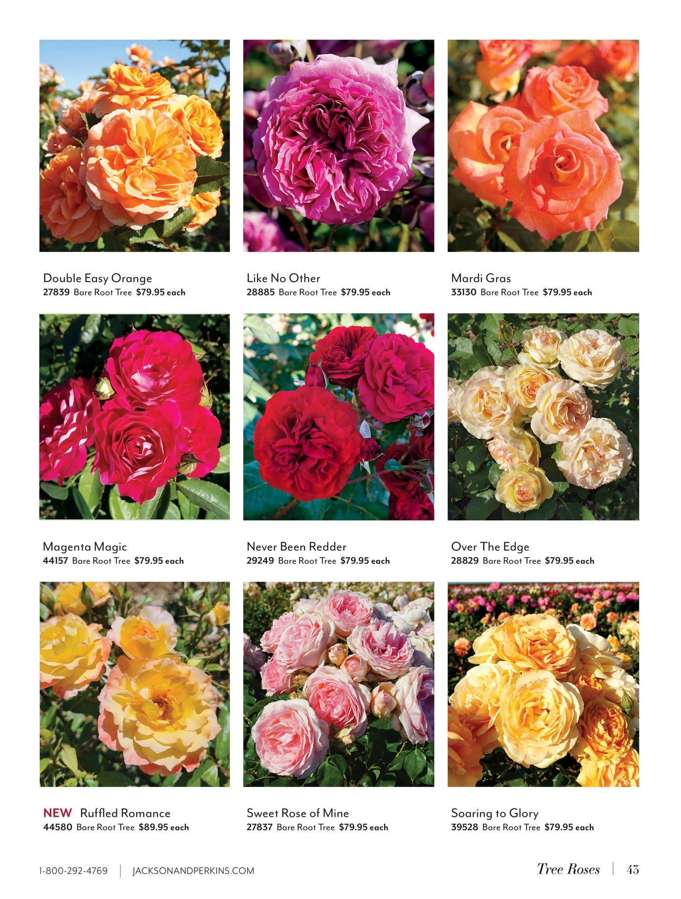 Jackson & Perkins flyer page 43
