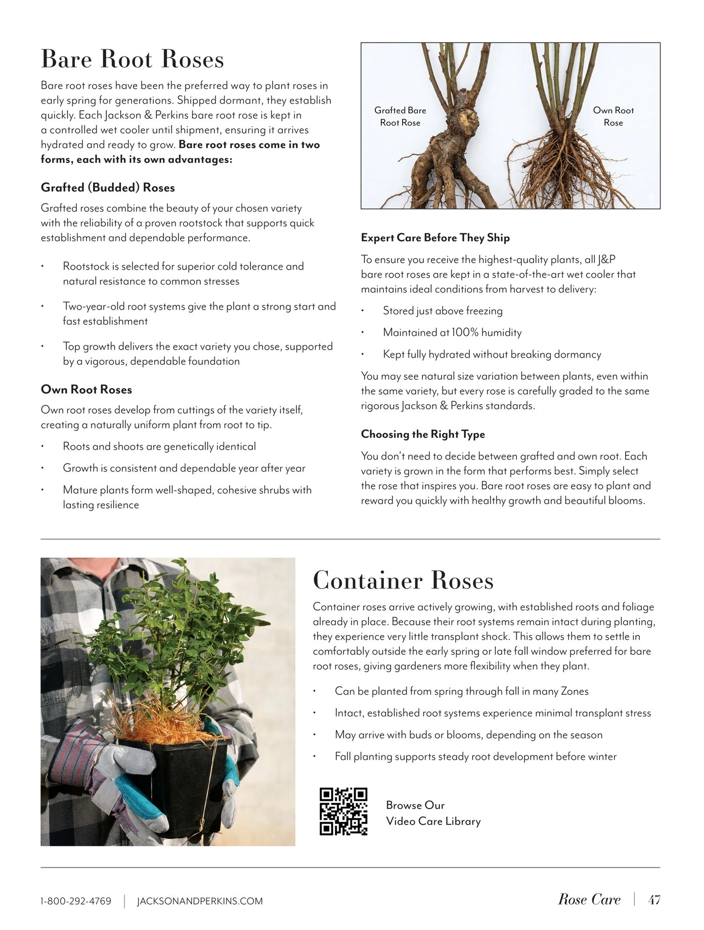 Jackson & Perkins flyer page 47