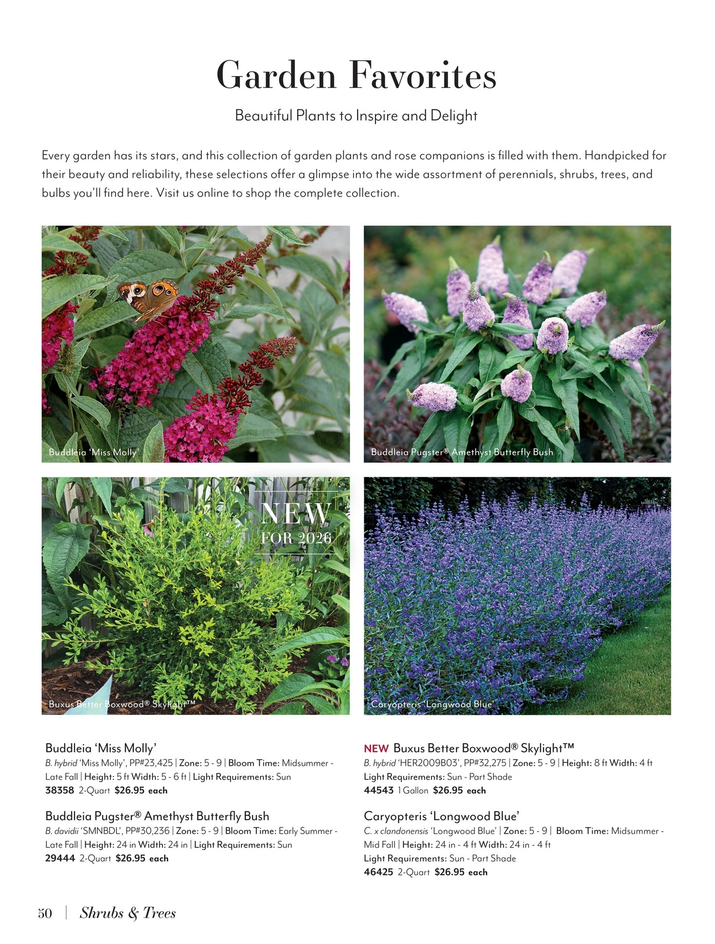 Jackson & Perkins flyer page 50