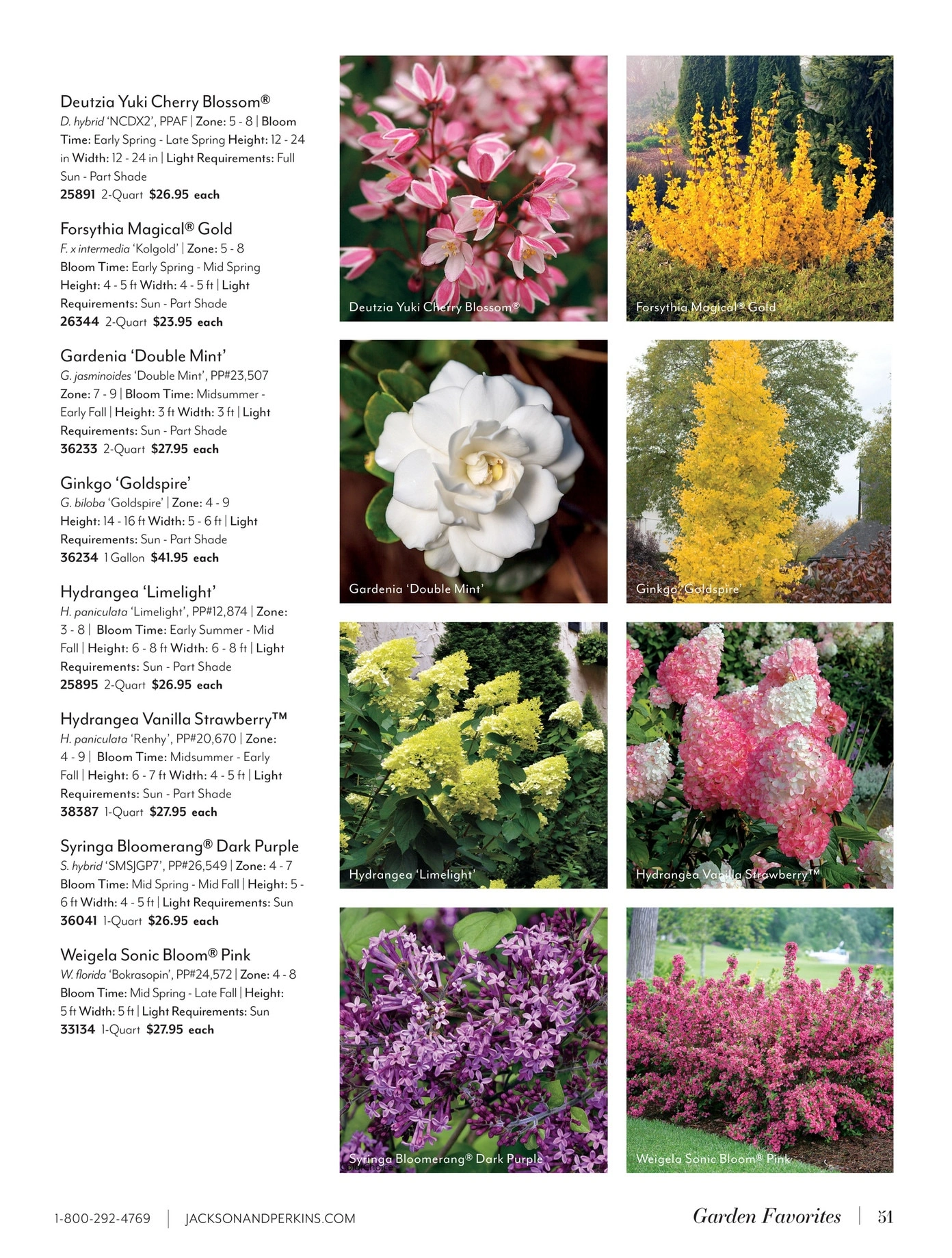 Jackson & Perkins flyer page 51