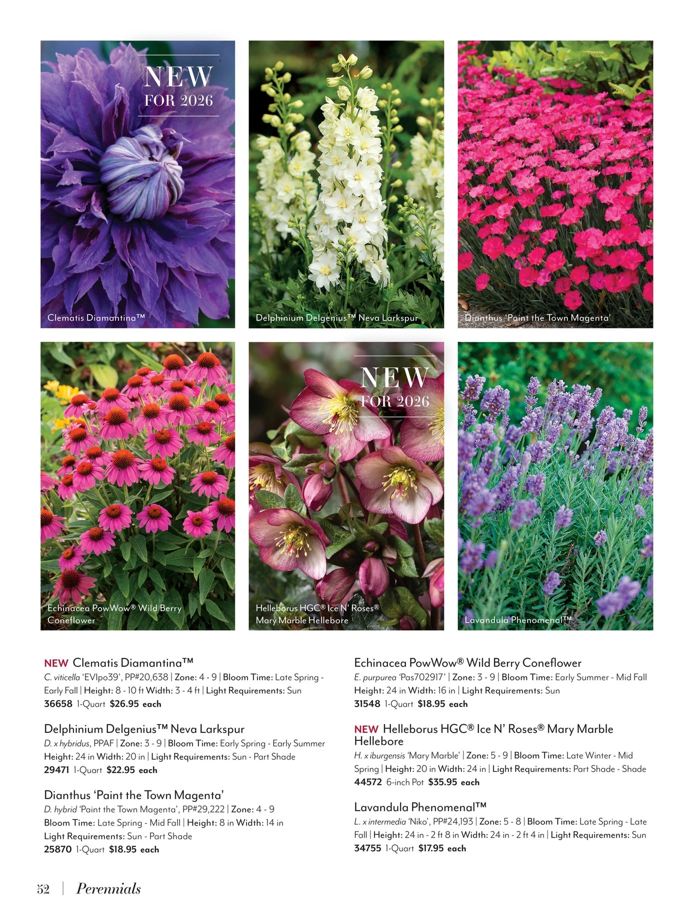 Jackson & Perkins flyer page 52