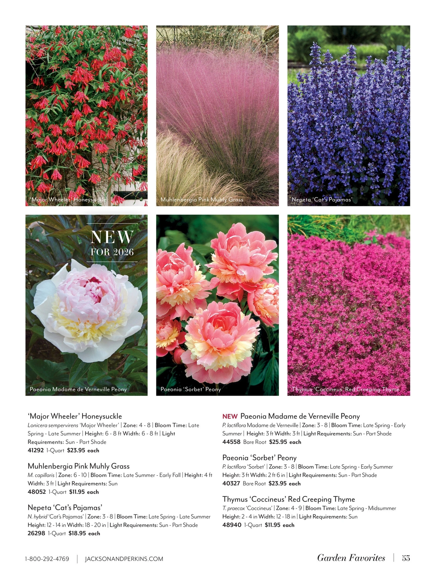 Jackson & Perkins flyer page 53