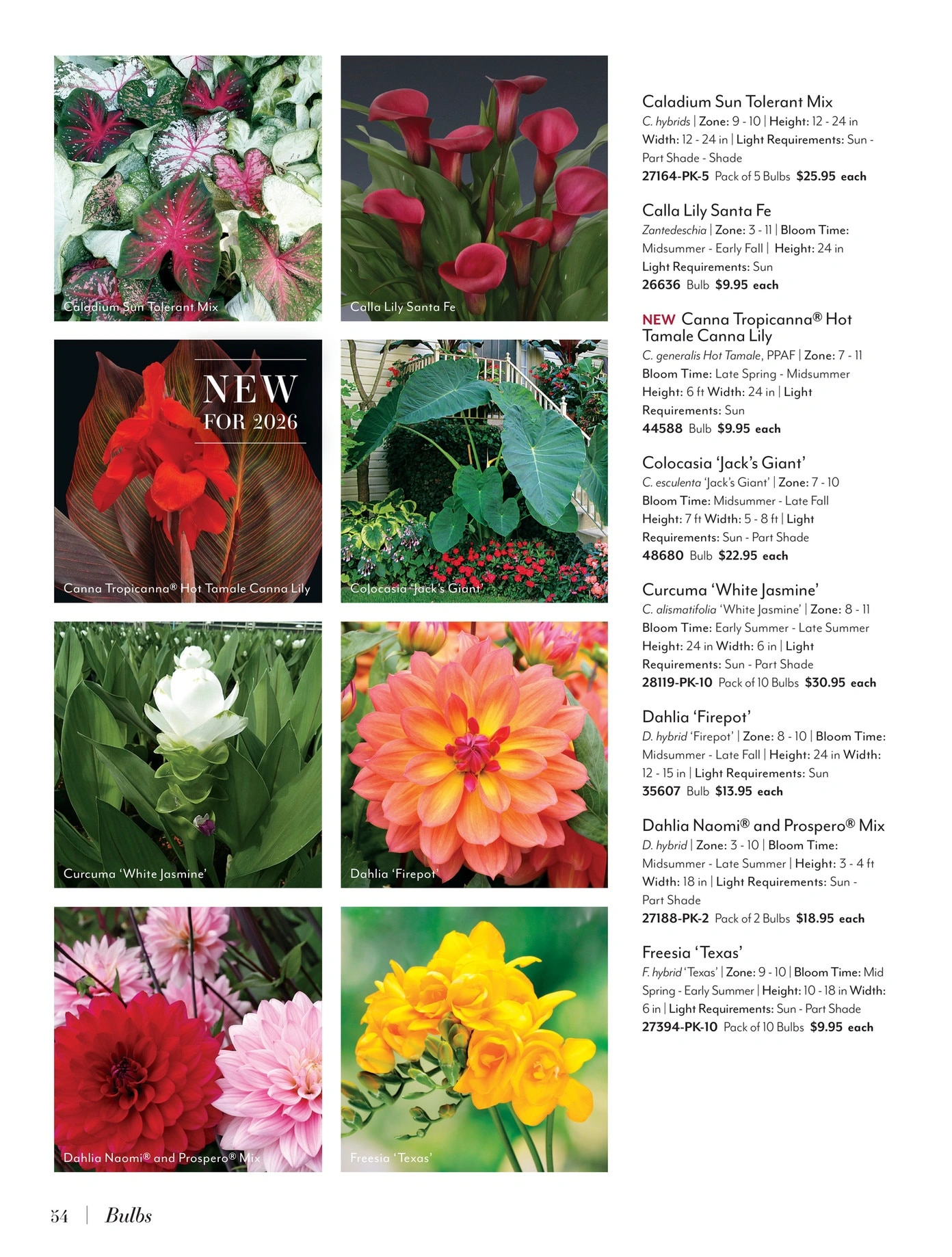 Jackson & Perkins flyer page 54