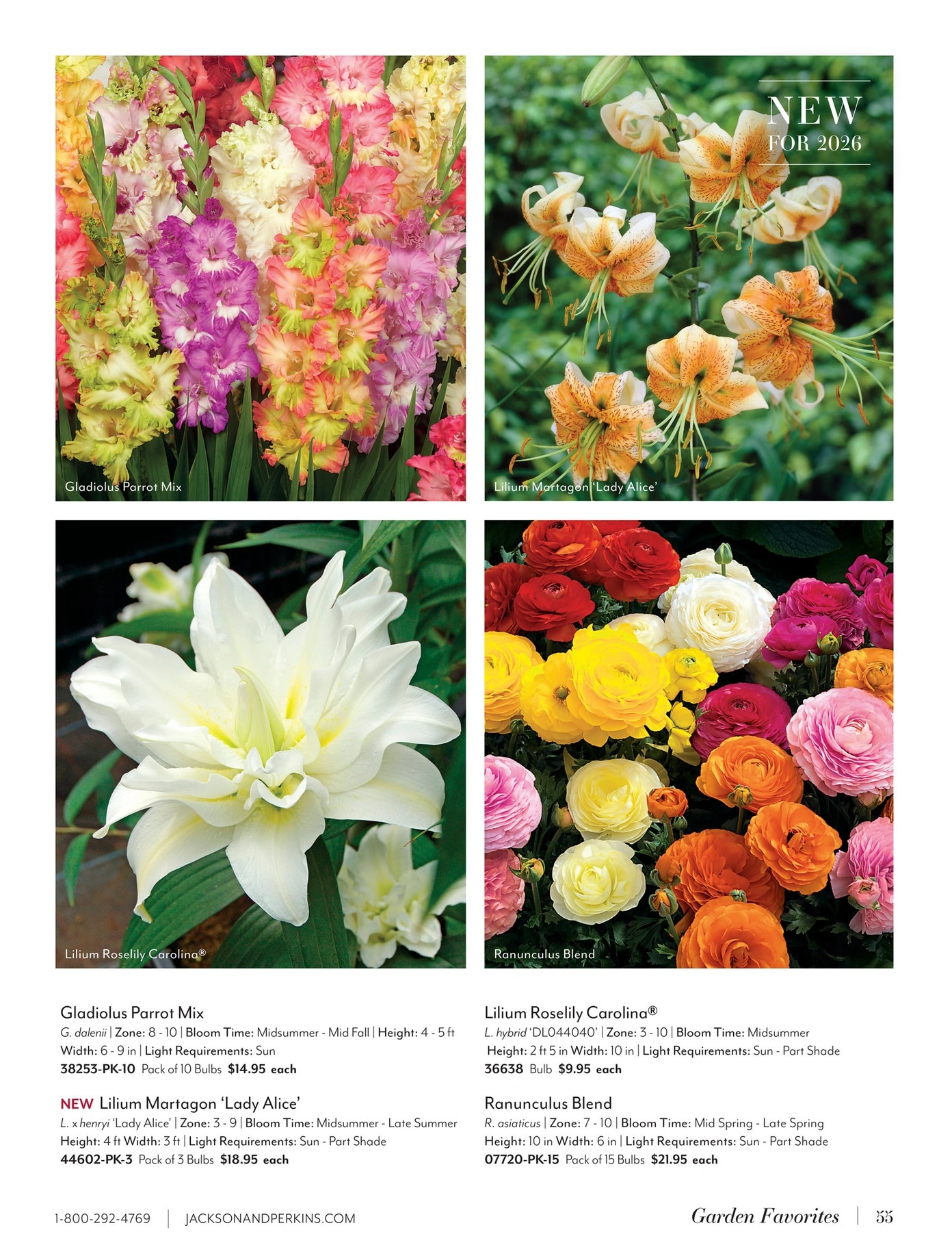 Jackson & Perkins flyer page 55