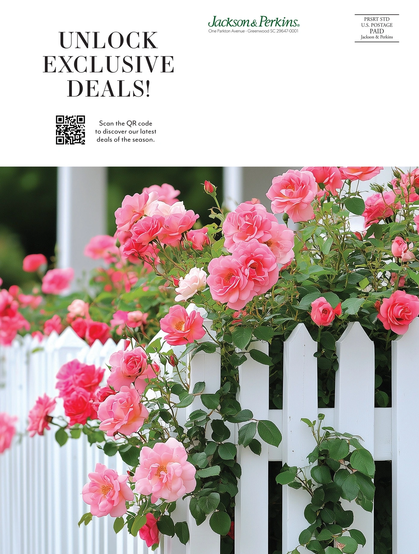 Jackson & Perkins flyer page 56