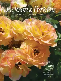 Jackson & Perkins Spring Garden Catalog Weekly Ad
