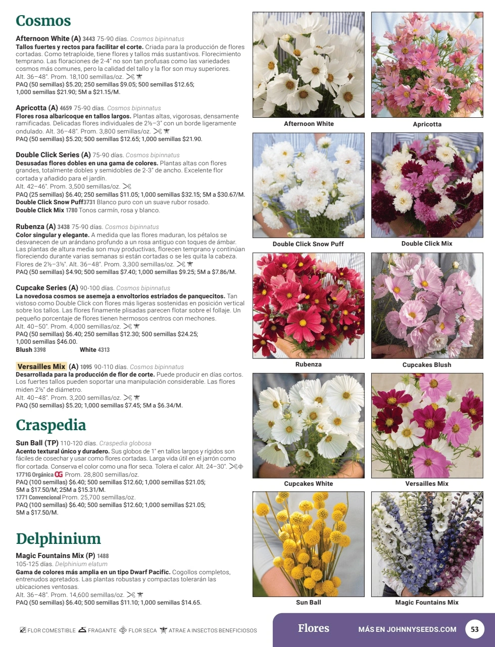Johnny's Selected Seeds flyer page 55
