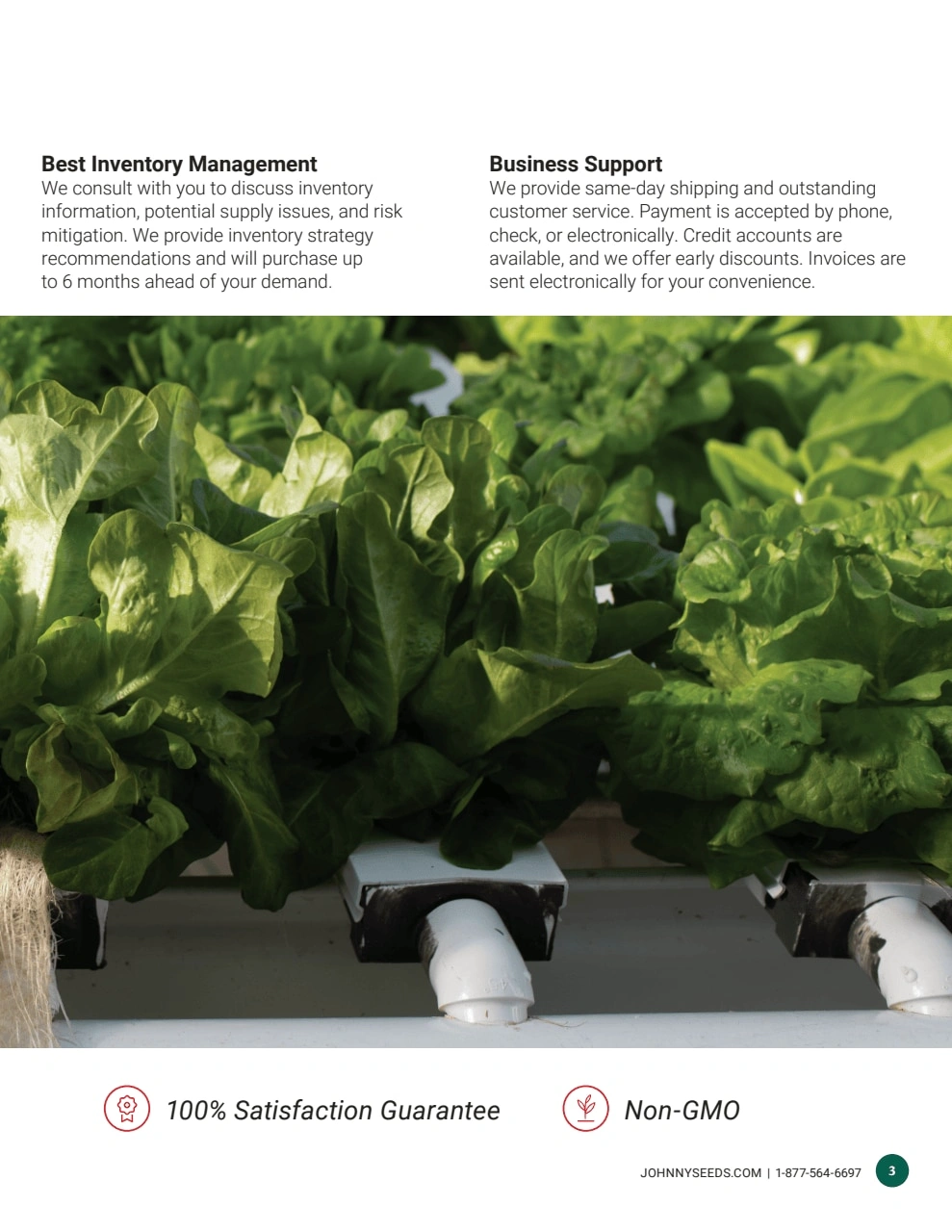 Johnny's Selected Seeds flyer page 3