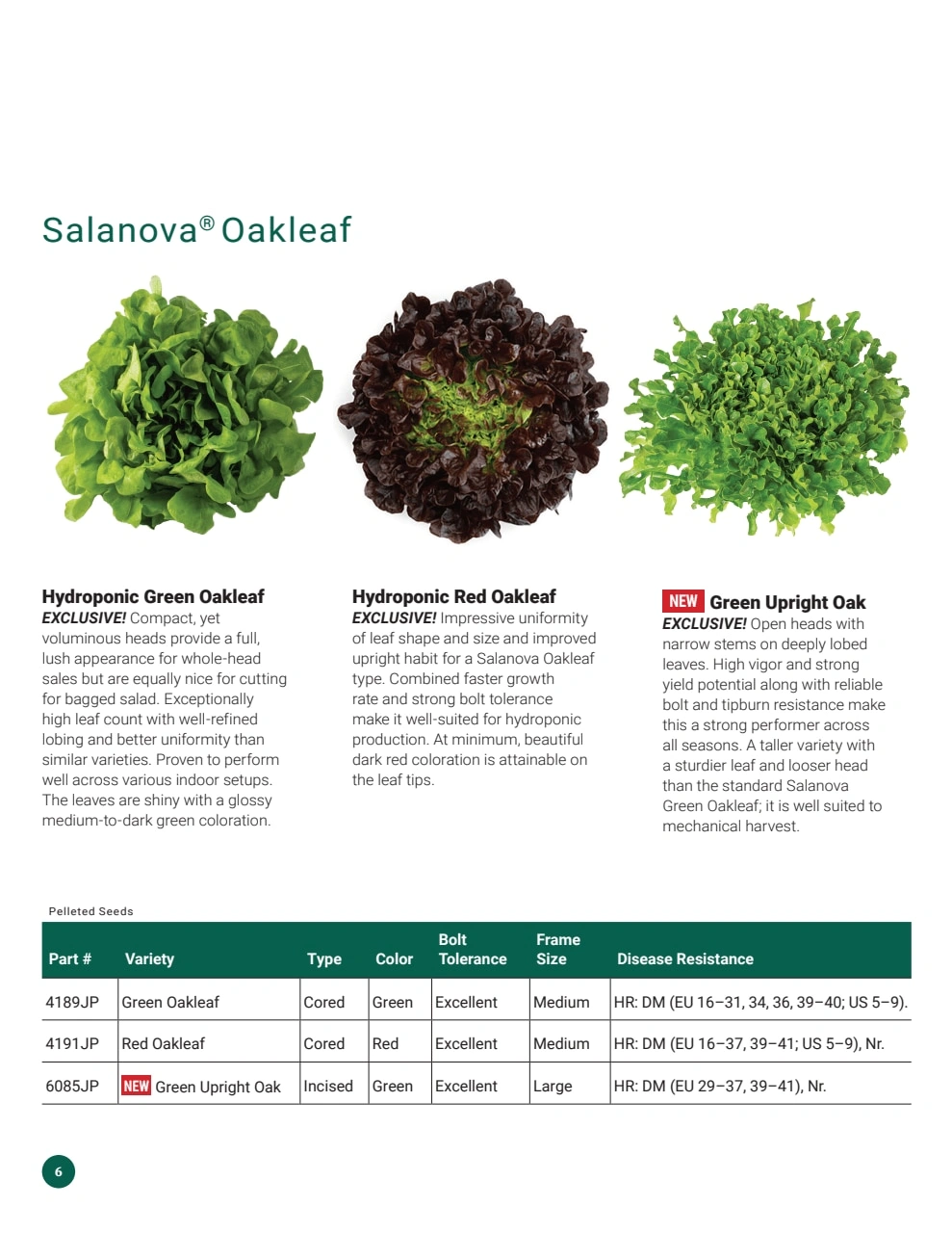 Johnny's Selected Seeds flyer page 6