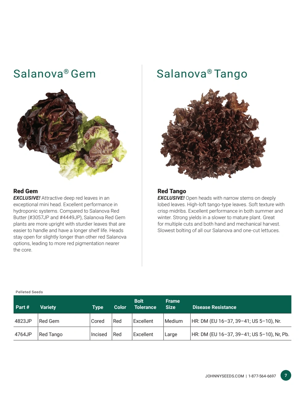 Johnny's Selected Seeds flyer page 7
