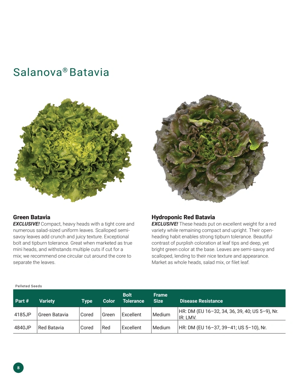 Johnny's Selected Seeds flyer page 8