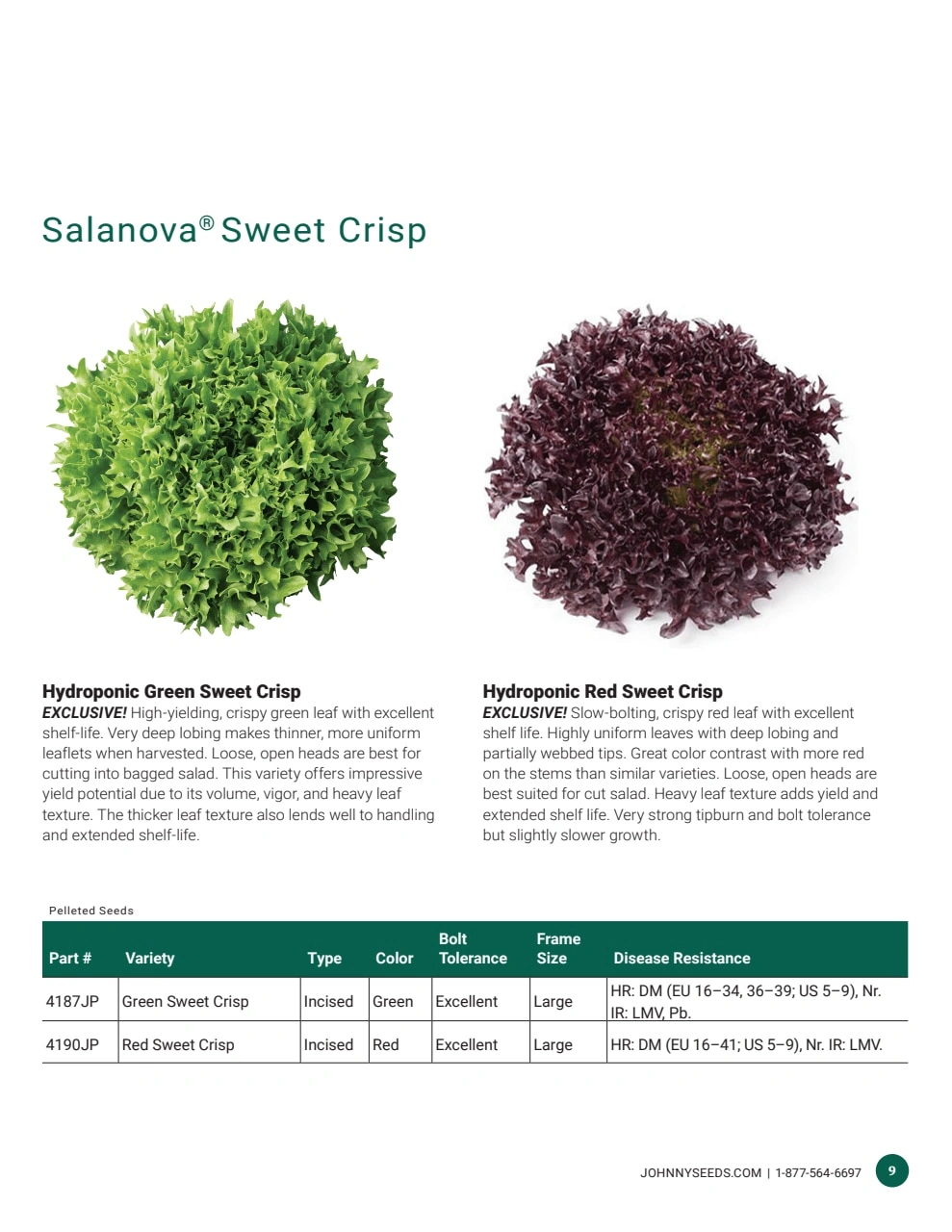 Johnny's Selected Seeds flyer page 9