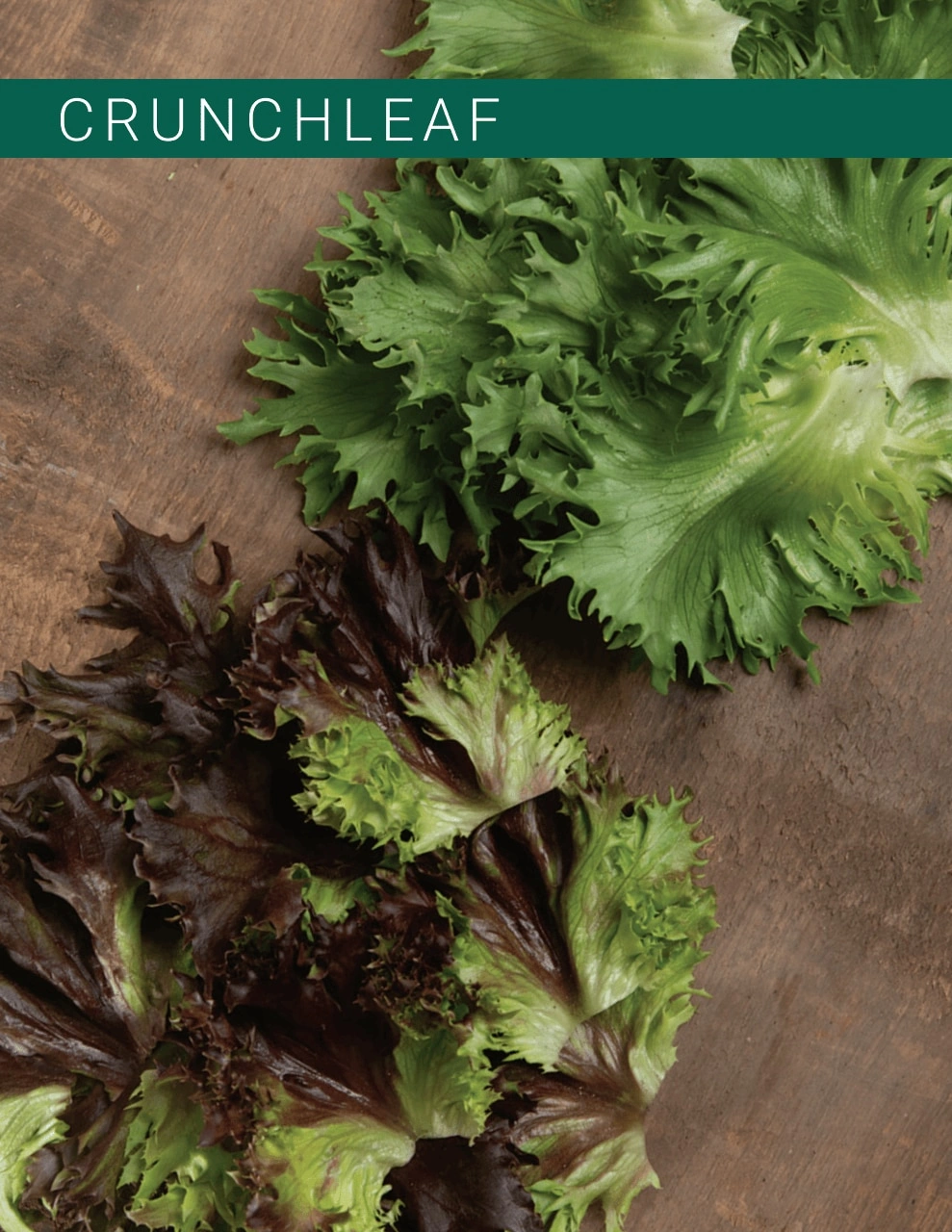 Johnny's Selected Seeds flyer page 10
