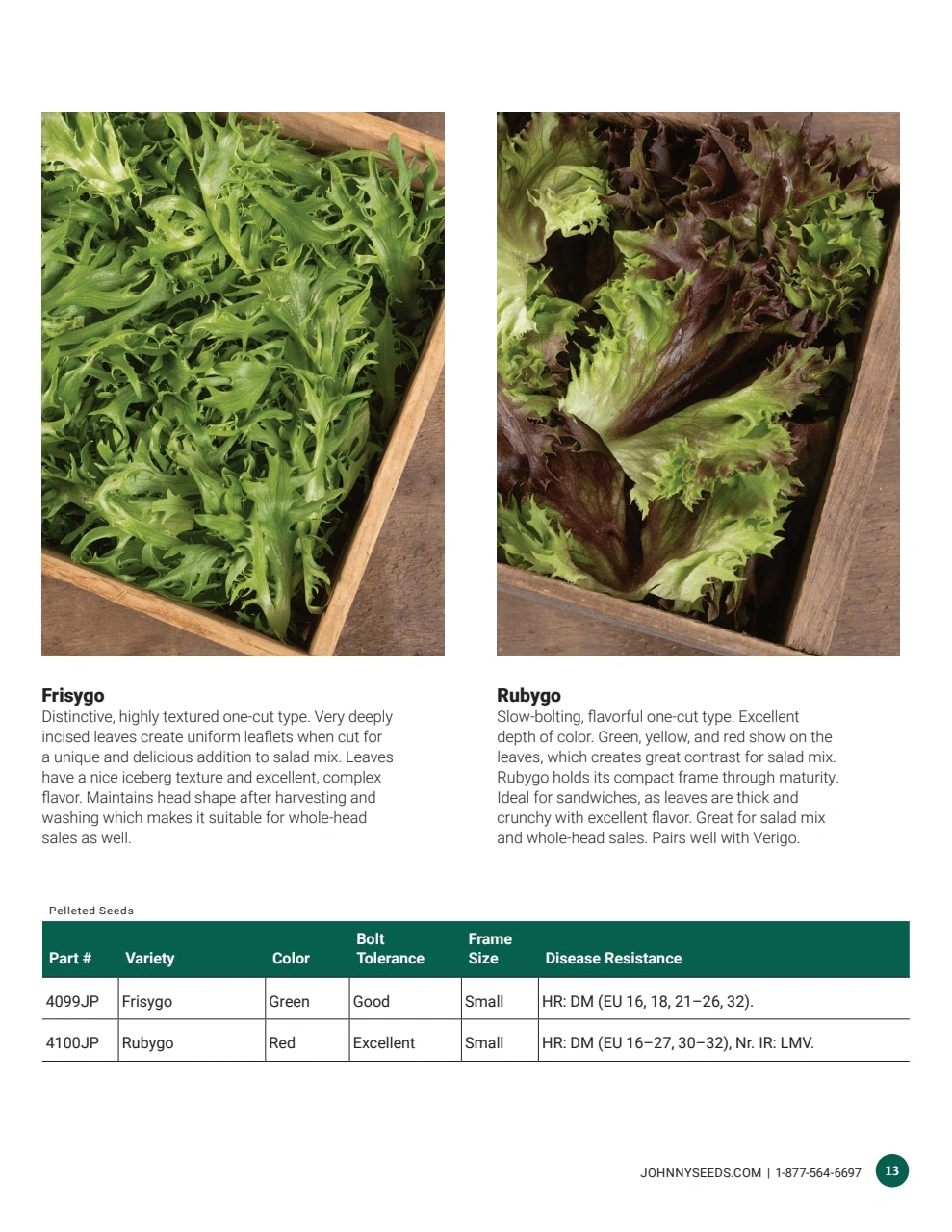 Johnny's Selected Seeds flyer page 13