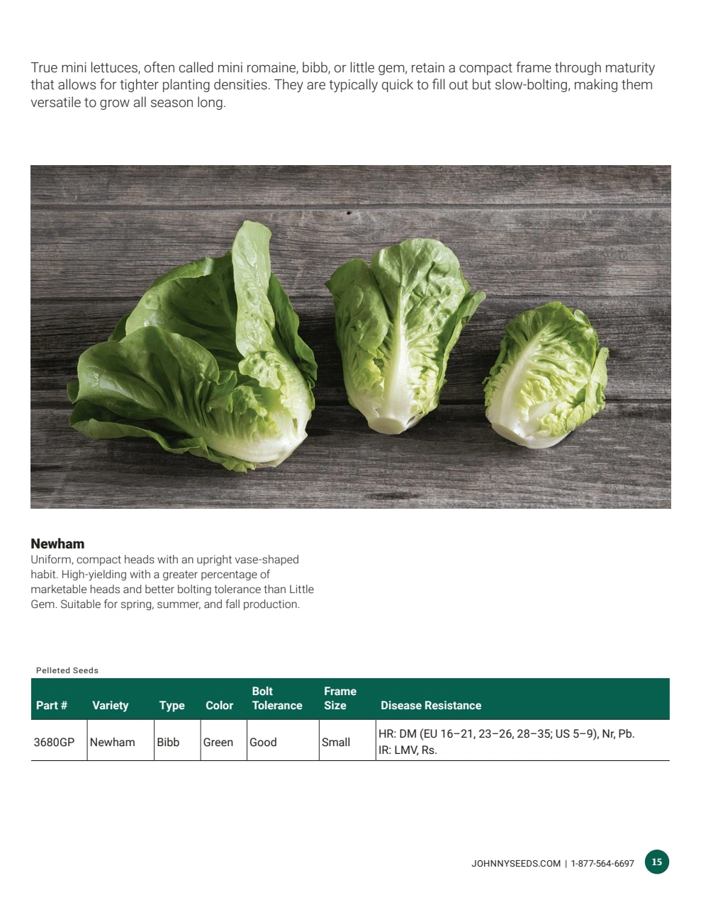 Johnny's Selected Seeds flyer page 15