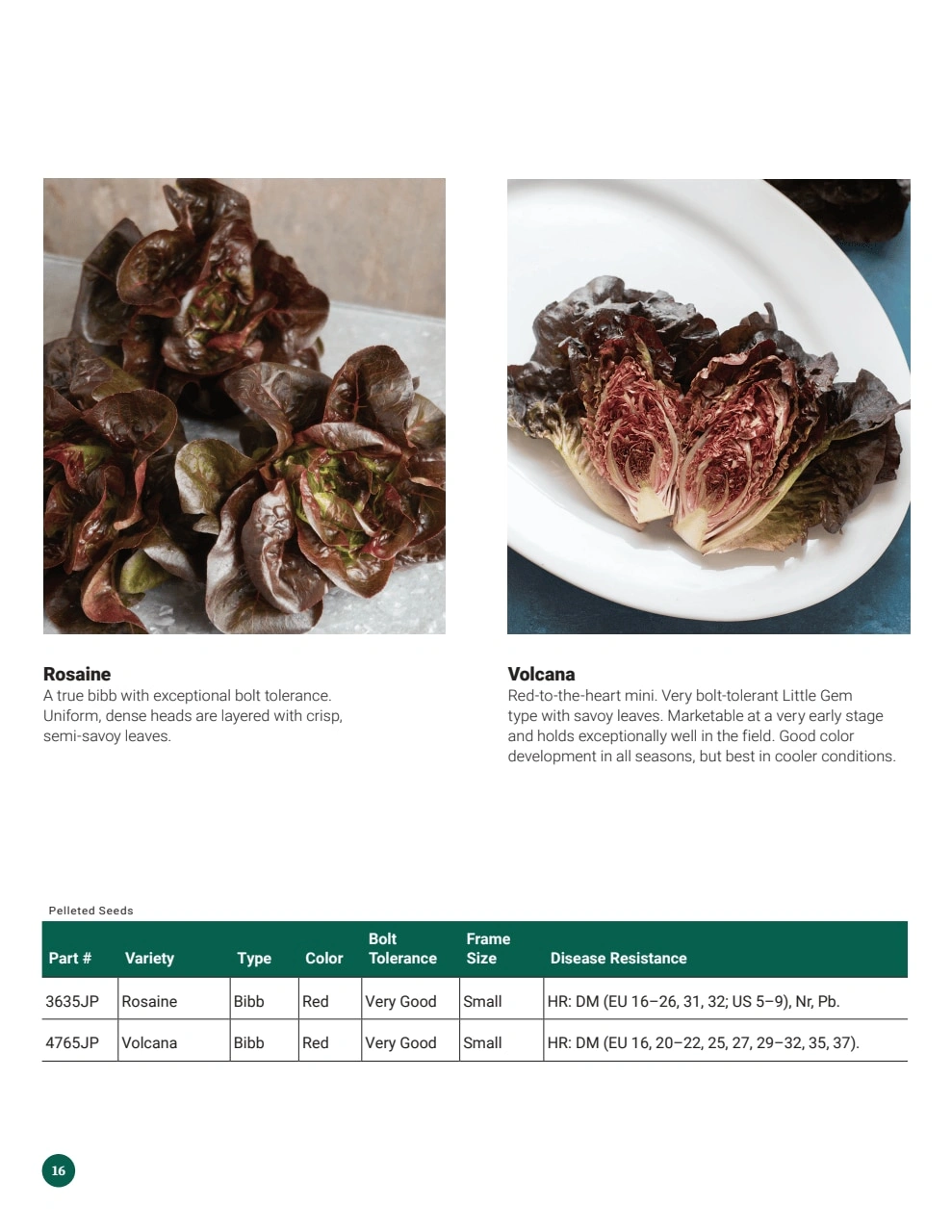 Johnny's Selected Seeds flyer page 16